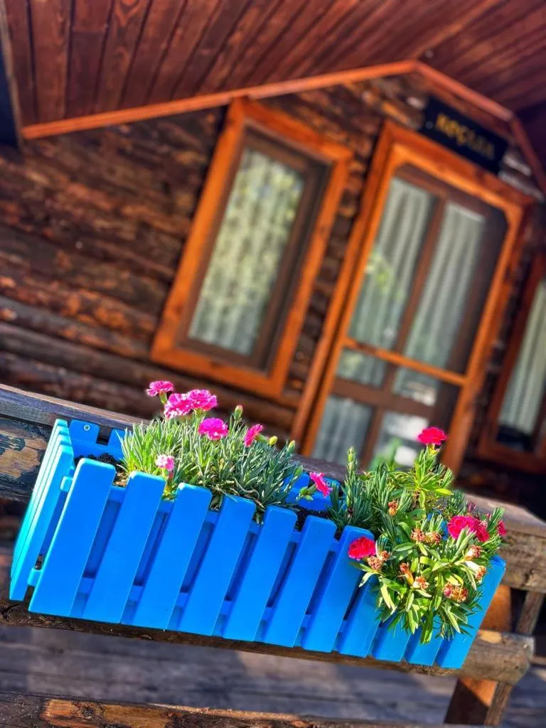 Balcony/Terrace in Zeytindağı bungalow