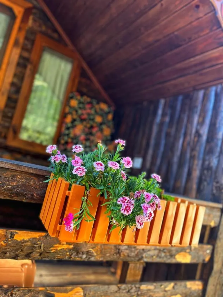 Garden in Zeytindağı bungalow