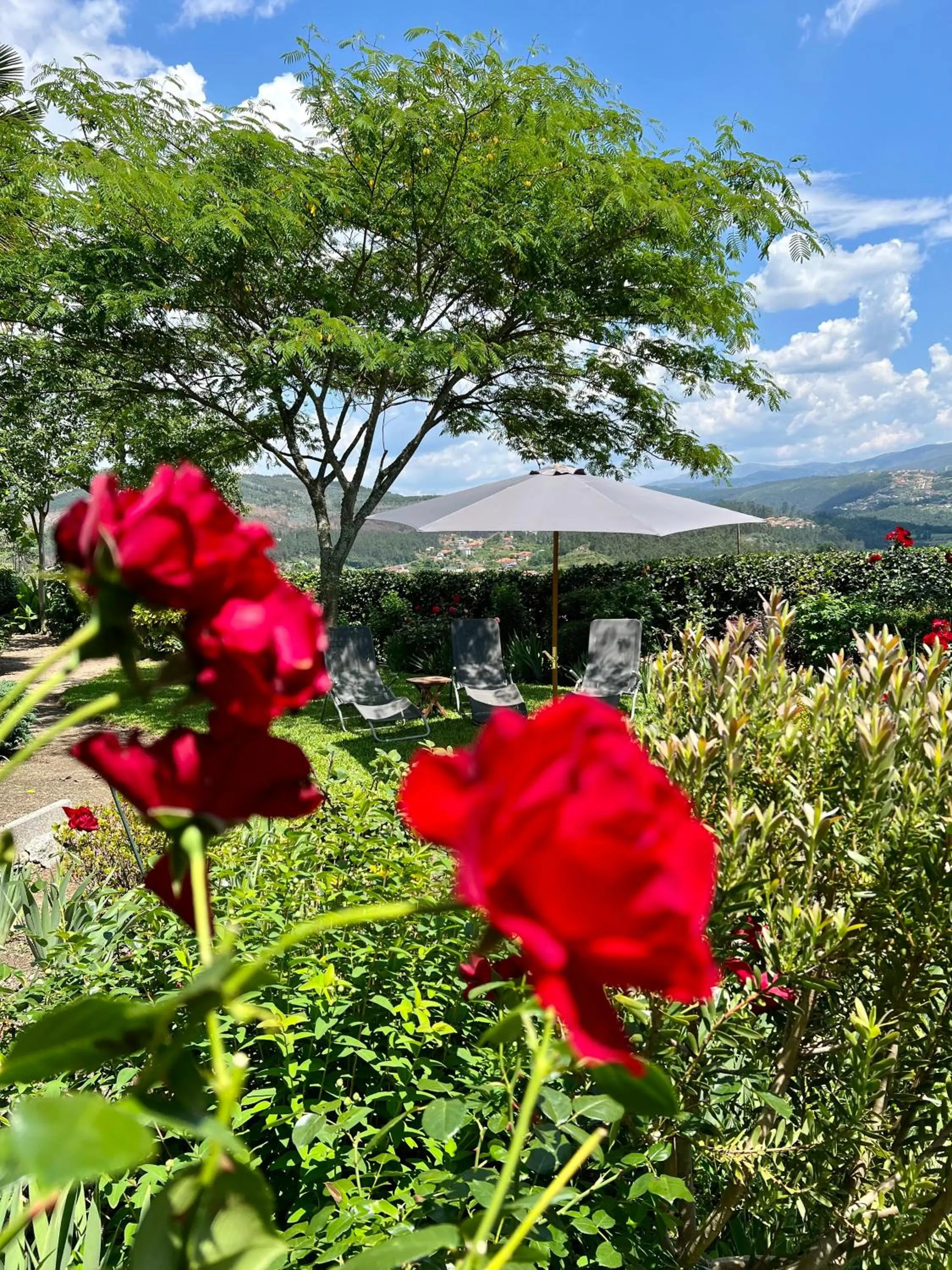 Garden in Casa do Crasto