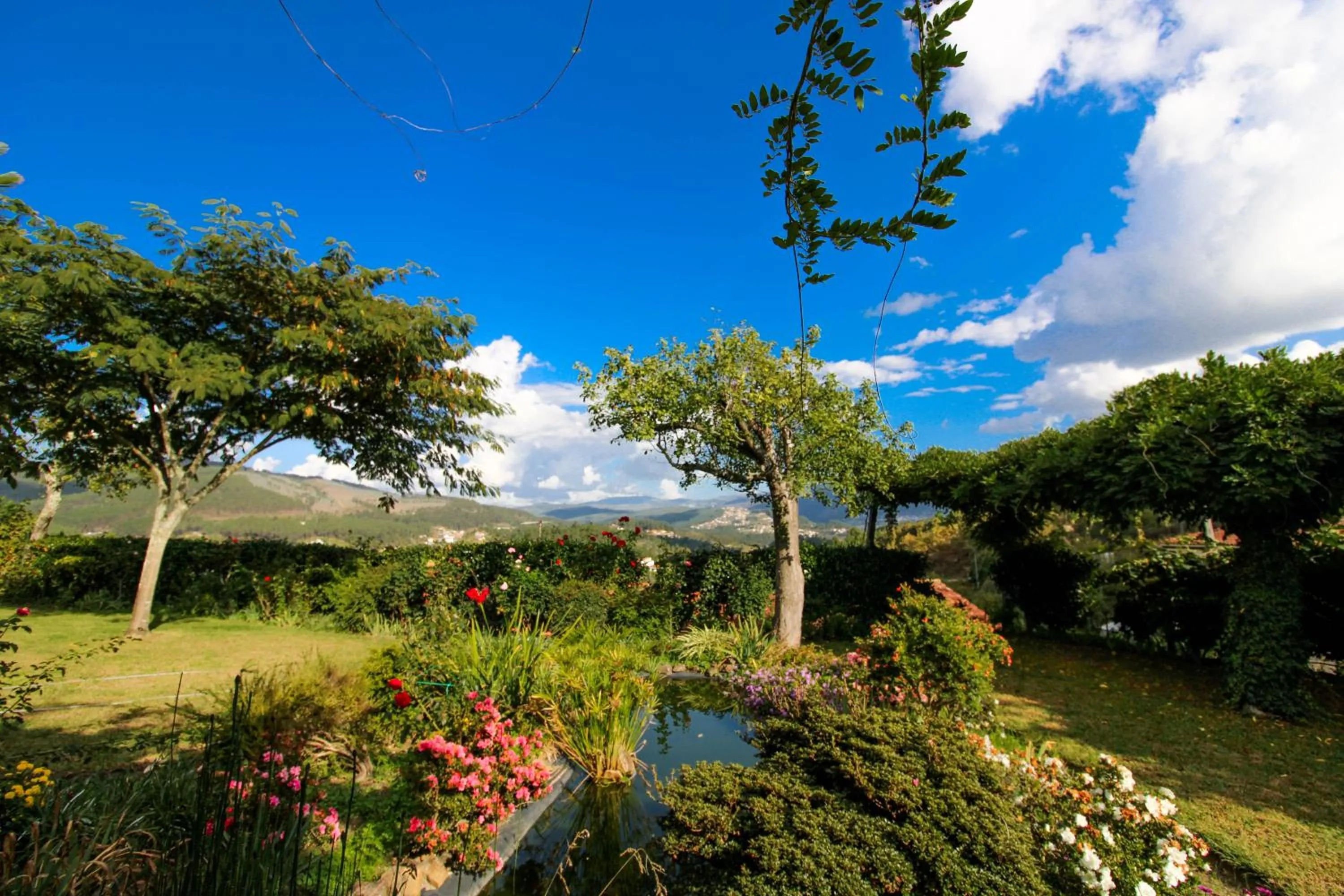 Natural landscape in Casa do Crasto