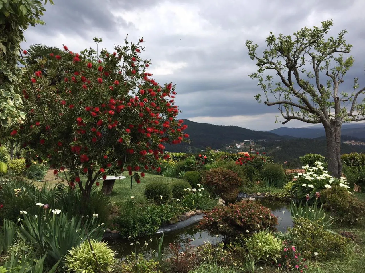 Natural landscape in Casa do Crasto