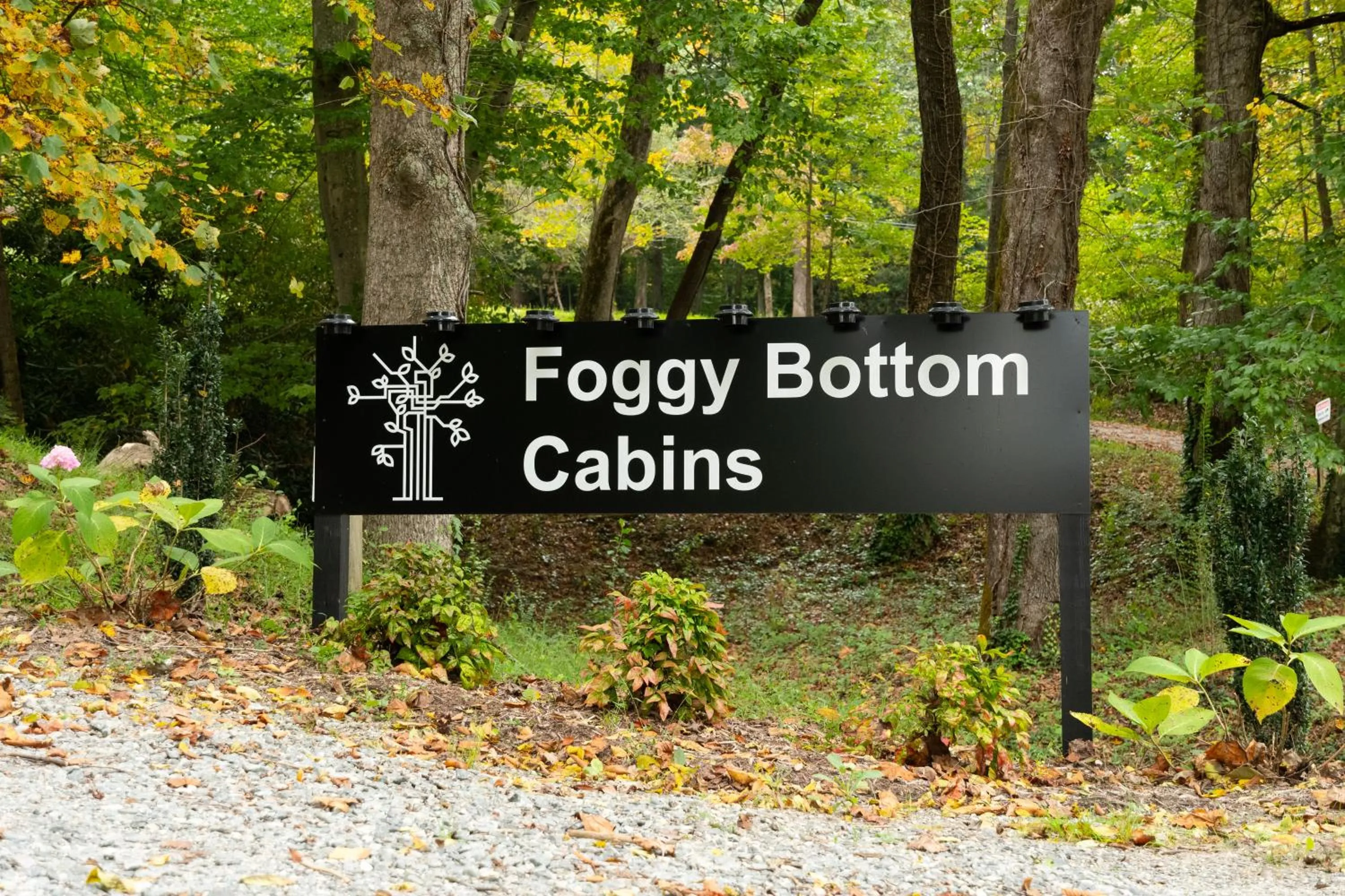 Property logo or sign in Foggy Bottom Cabins
