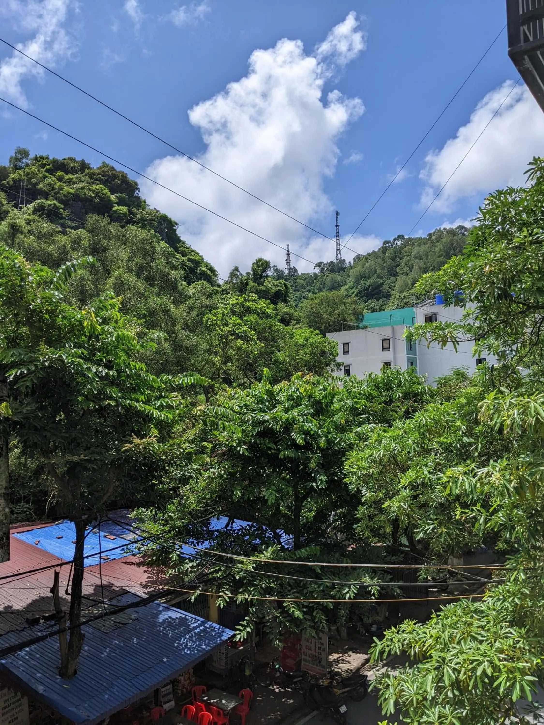 View (from property/room) in Tung Quang Hotel