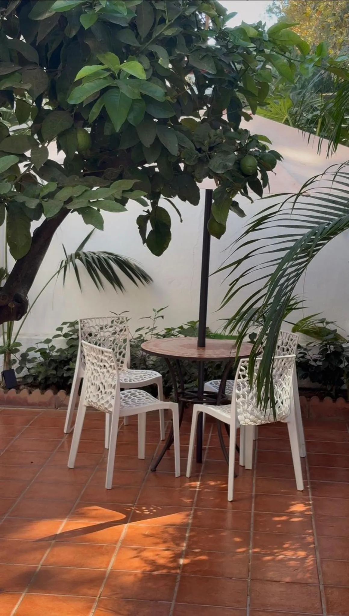 Property building in Elcano