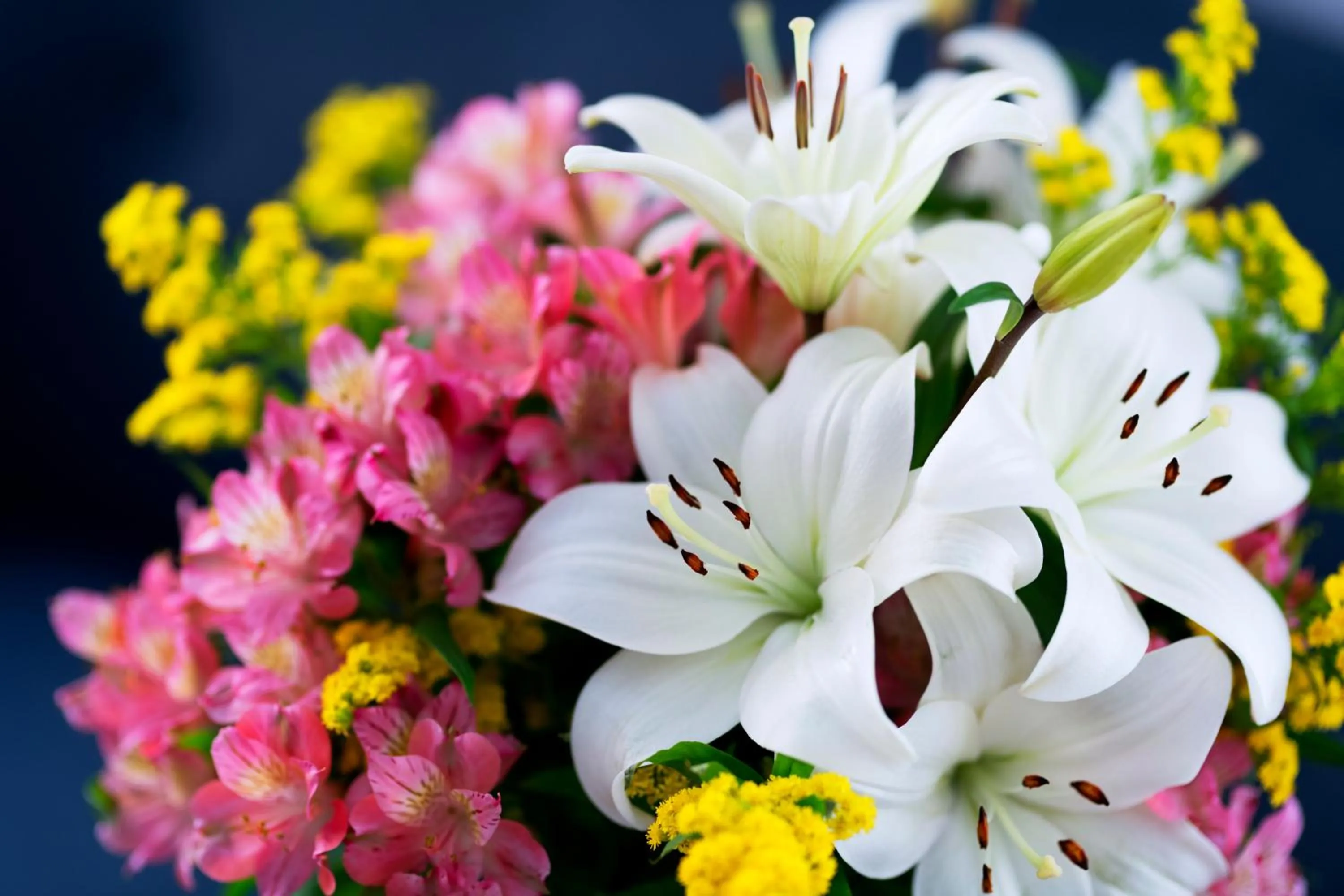 Property building in Casa de la Catedral