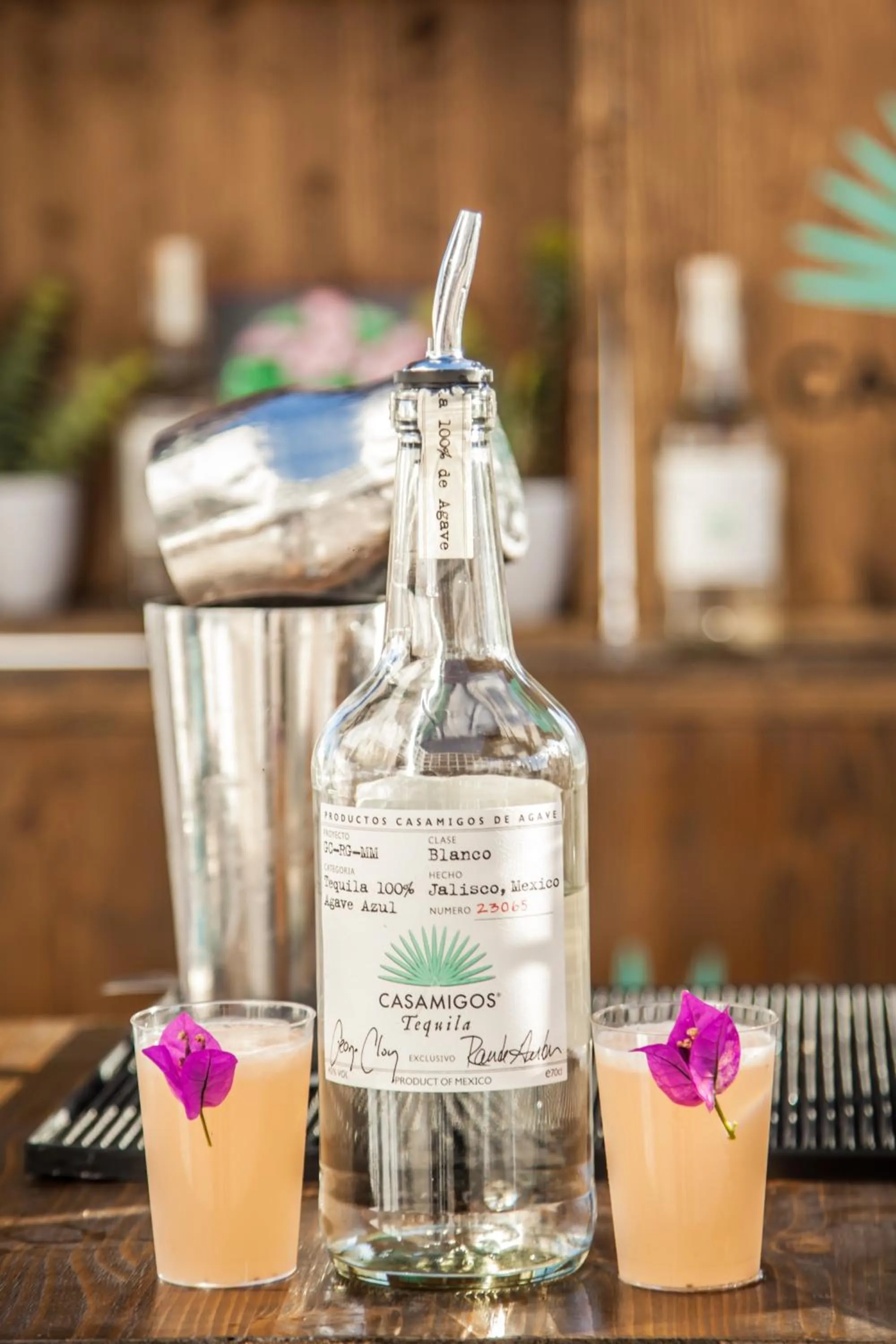 Lounge or bar in Ocean Drive Talamanca