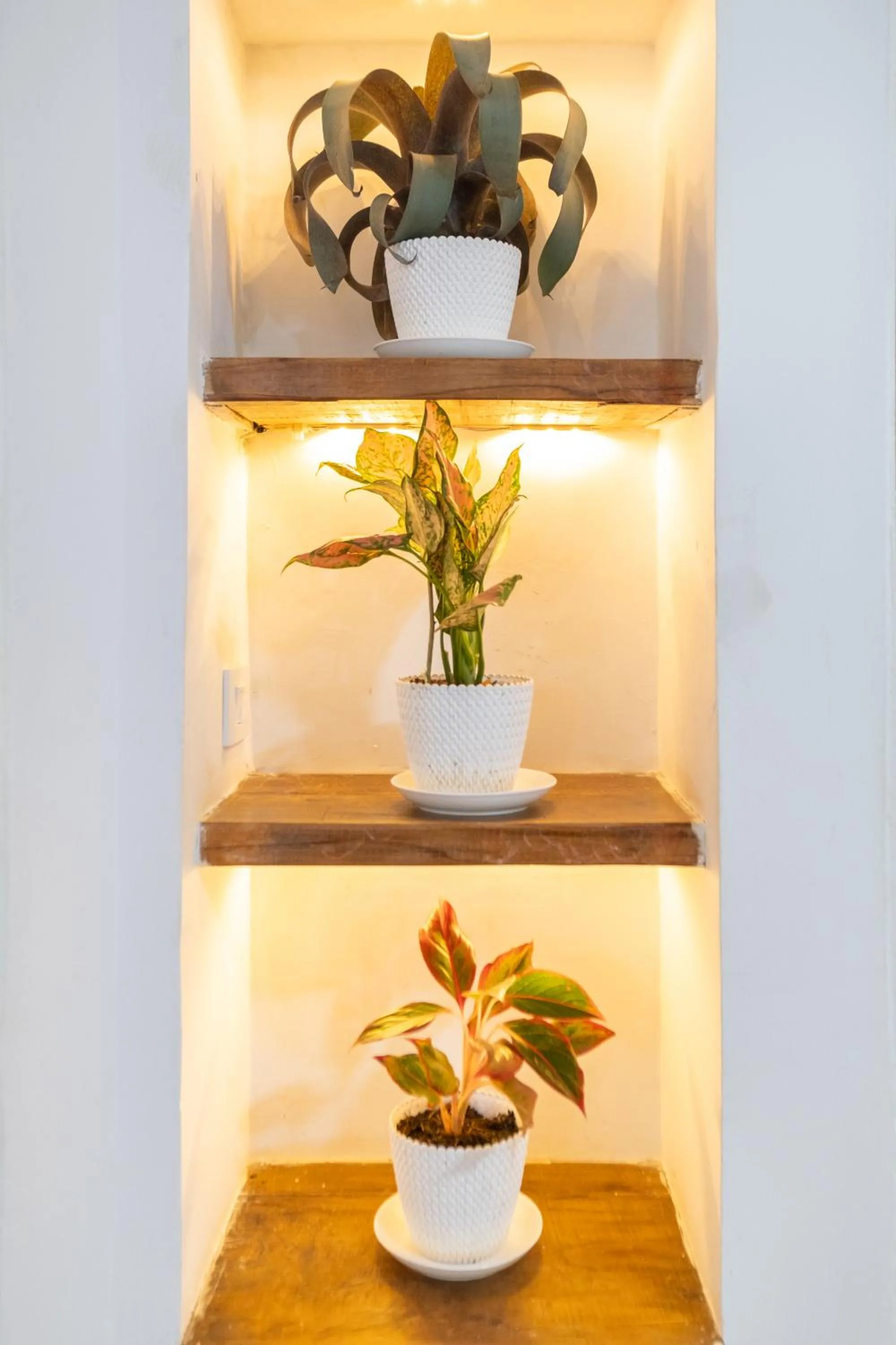 Decorative detail in Hotel Chalet La Sofia by Majuva