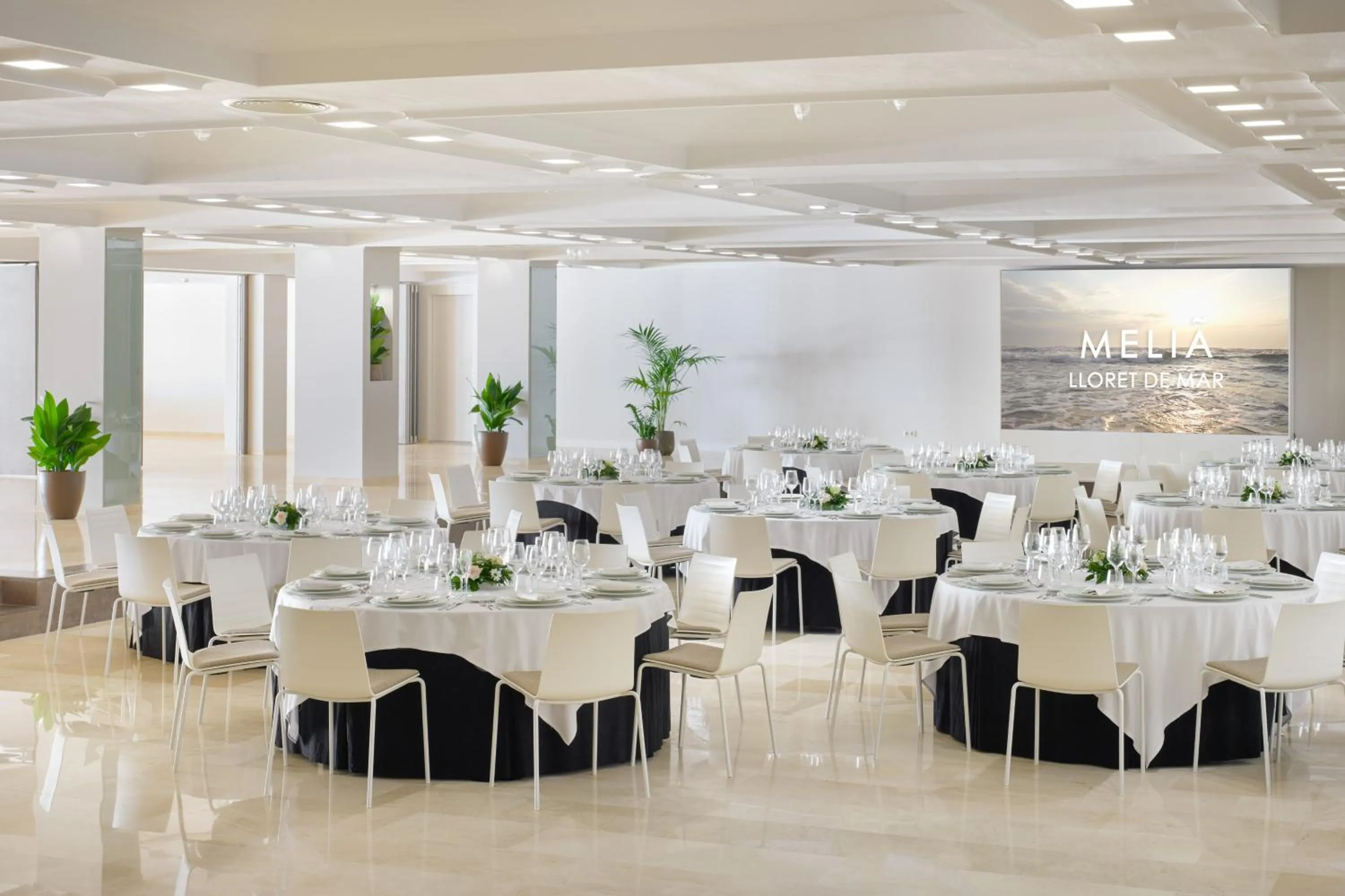 Restaurant/places to eat in Meliá Lloret de Mar