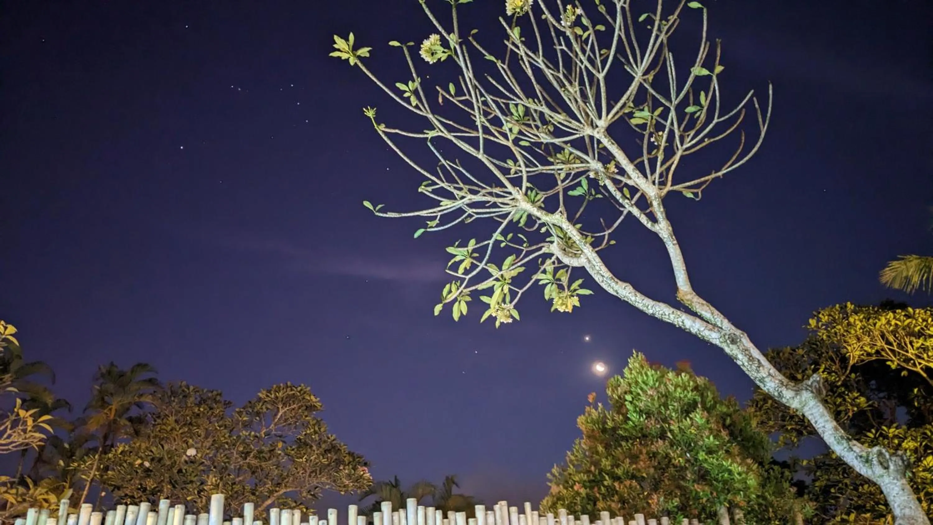 Sampara Ubud with Mindrum Group