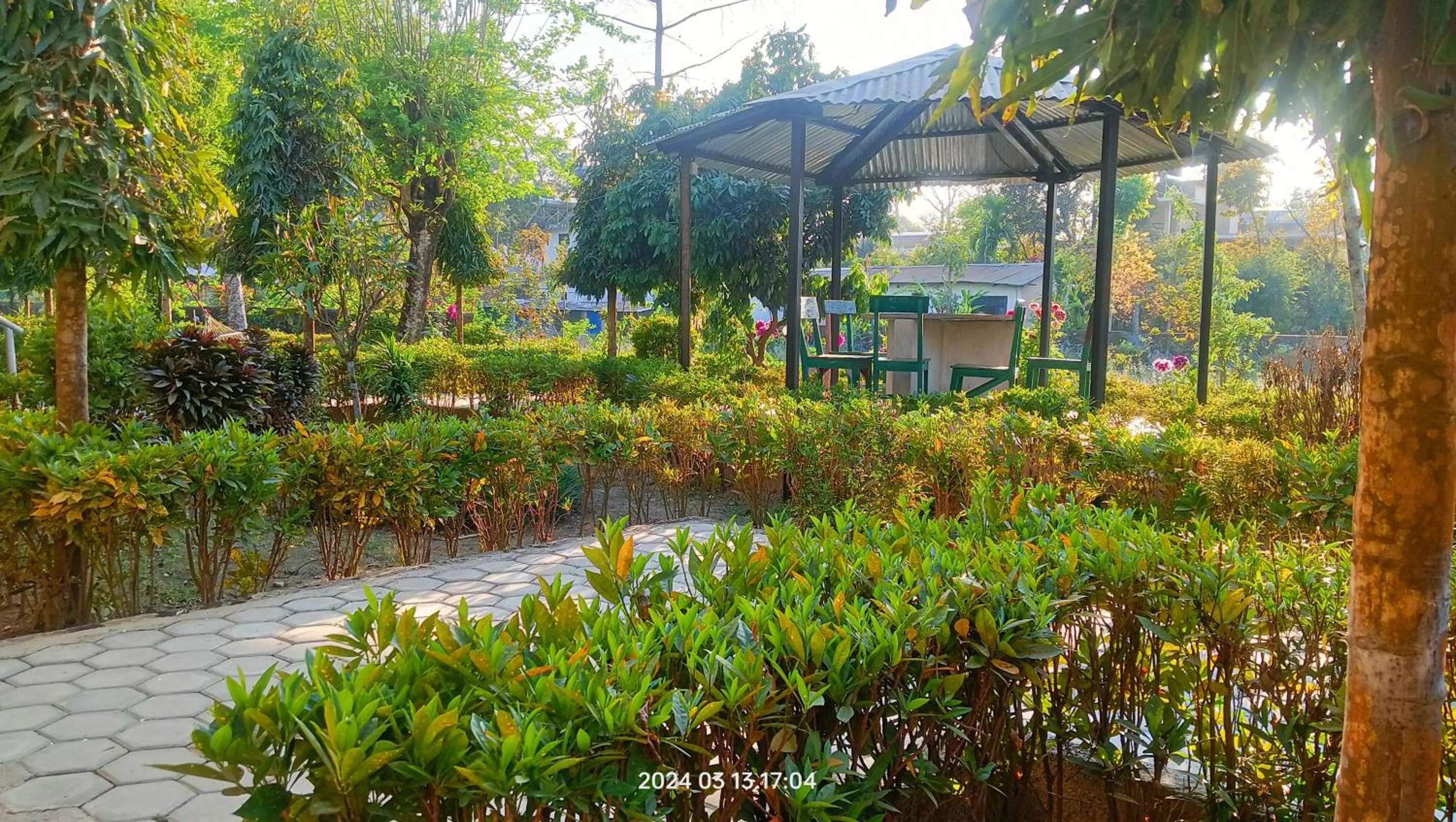 Balcony/Terrace in Hotel Butterfly - Peaceful Garden for Nature Lovers