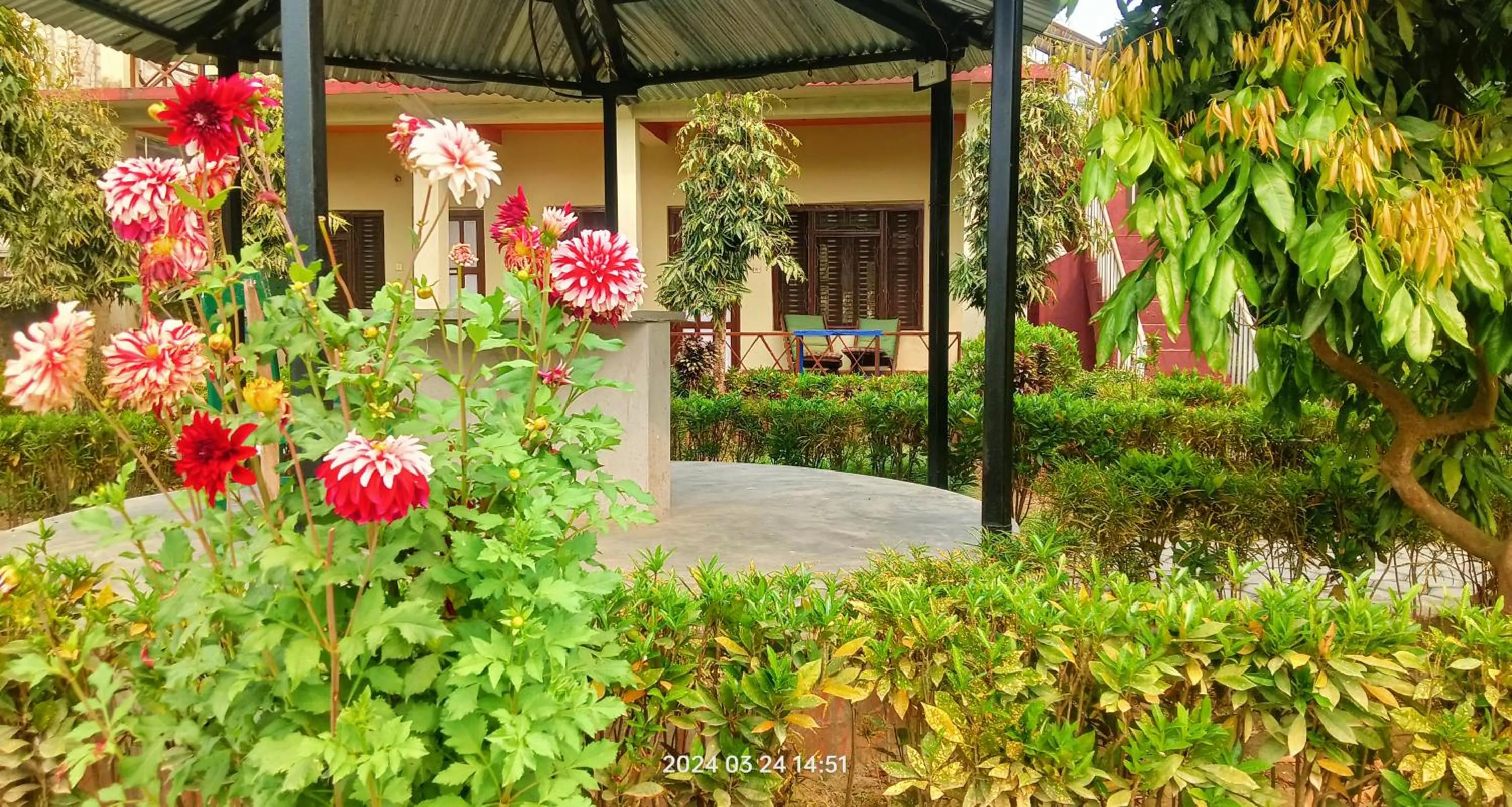 Spring in Hotel Butterfly - Peaceful Garden for Nature Lovers