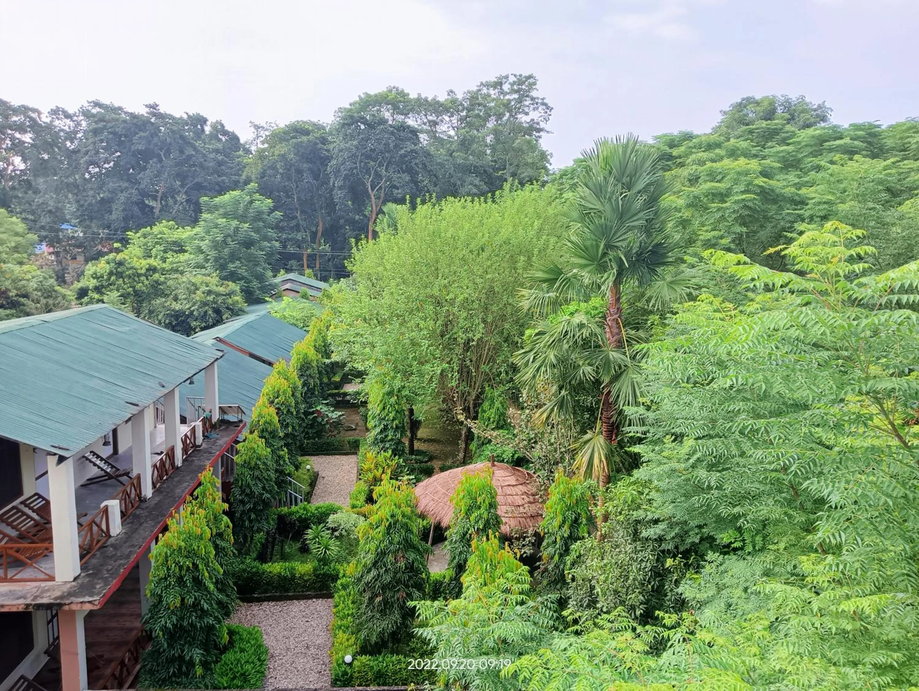 Garden view in Hotel Butterfly - Peaceful Garden for Nature Lovers