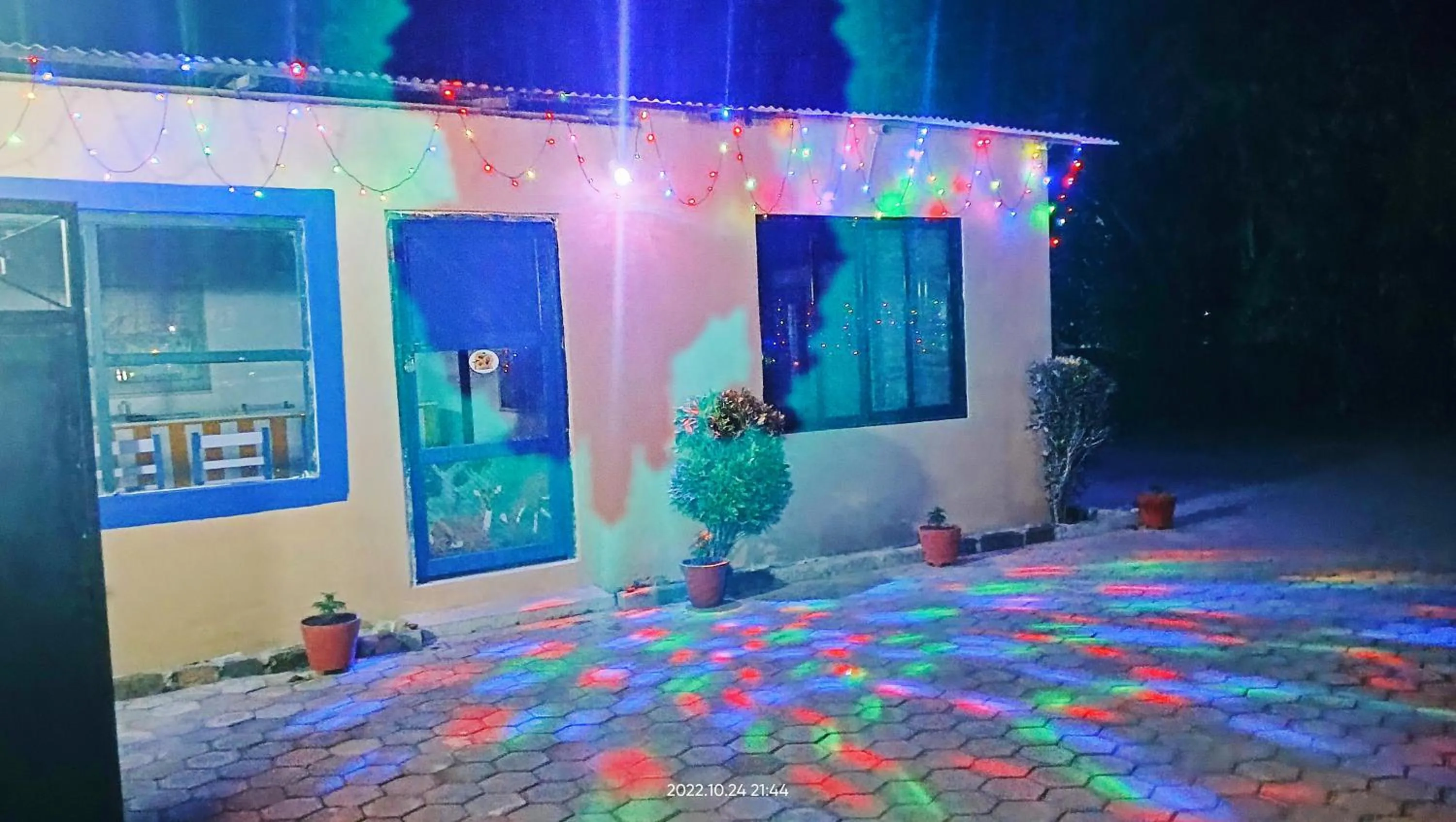 Night in Hotel Butterfly - Peaceful Garden for Nature Lovers