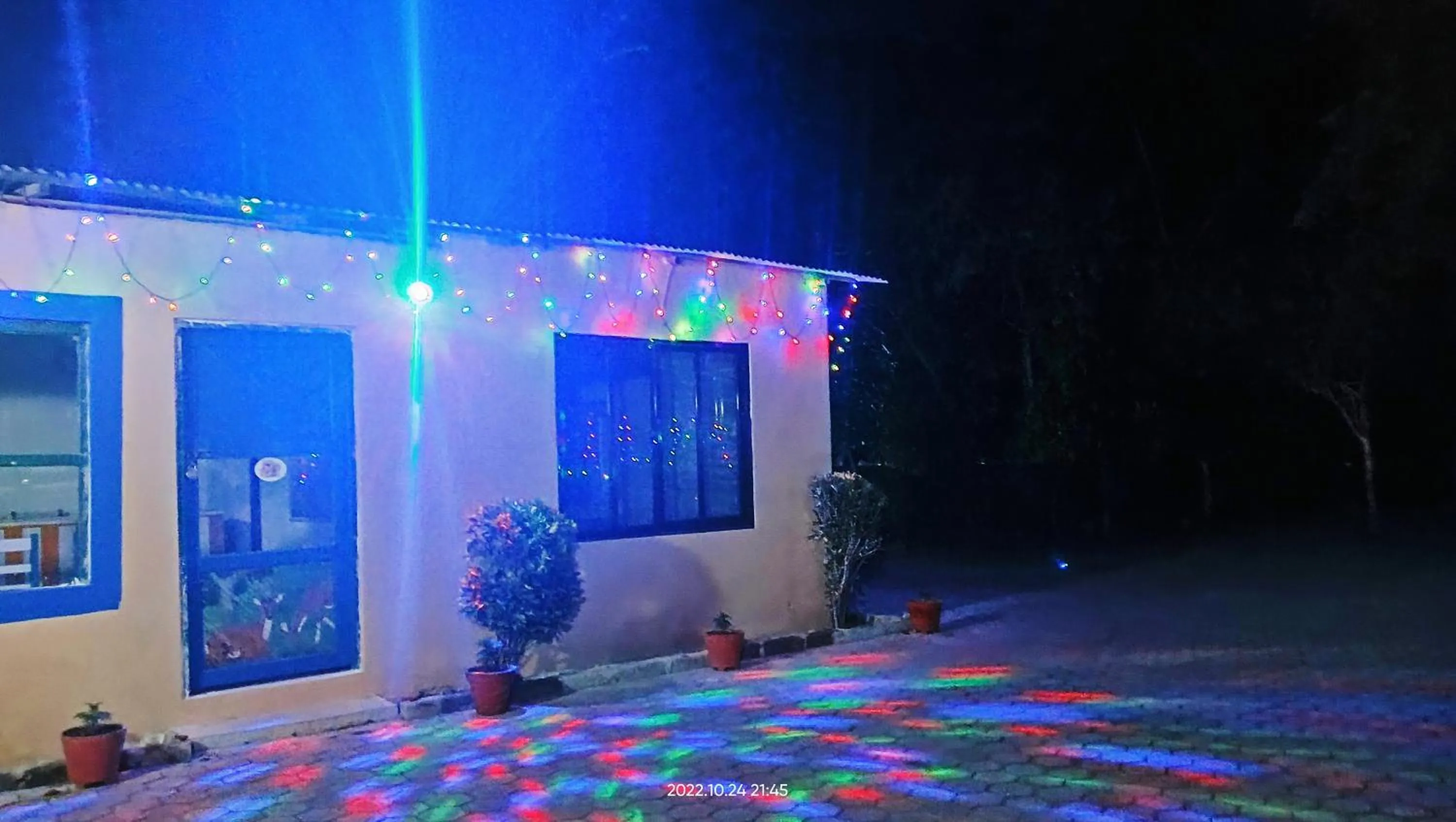 Night in Hotel Butterfly - Peaceful Garden for Nature Lovers