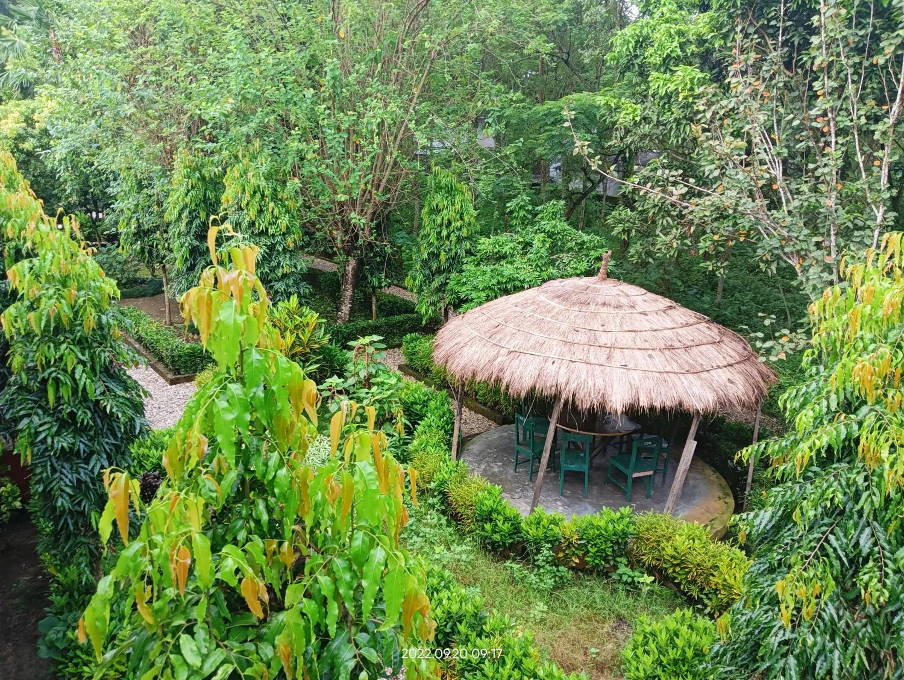 Garden in Hotel Butterfly - Peaceful Garden for Nature Lovers