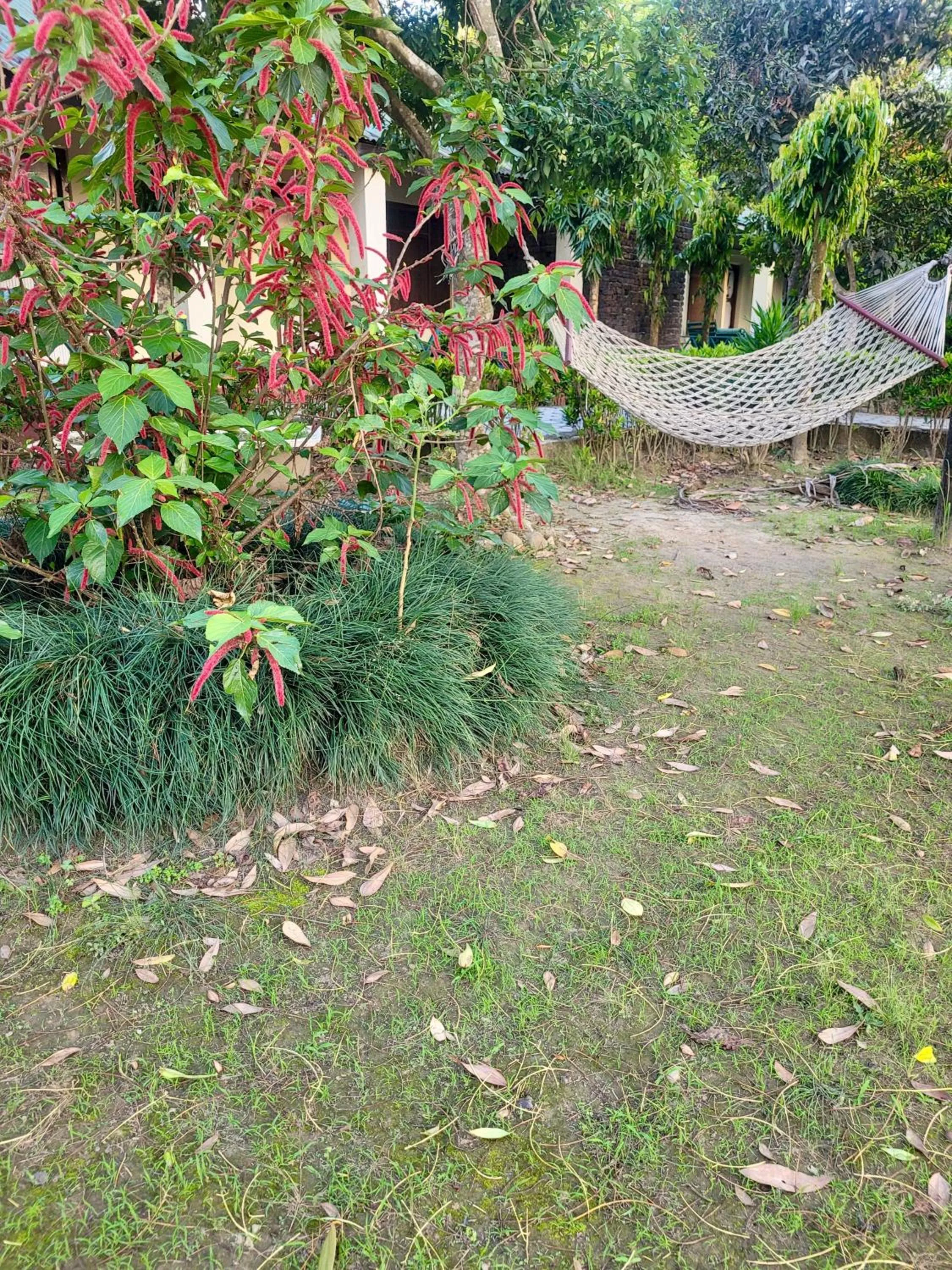 Hotel Butterfly - Peaceful Garden for Nature Lovers