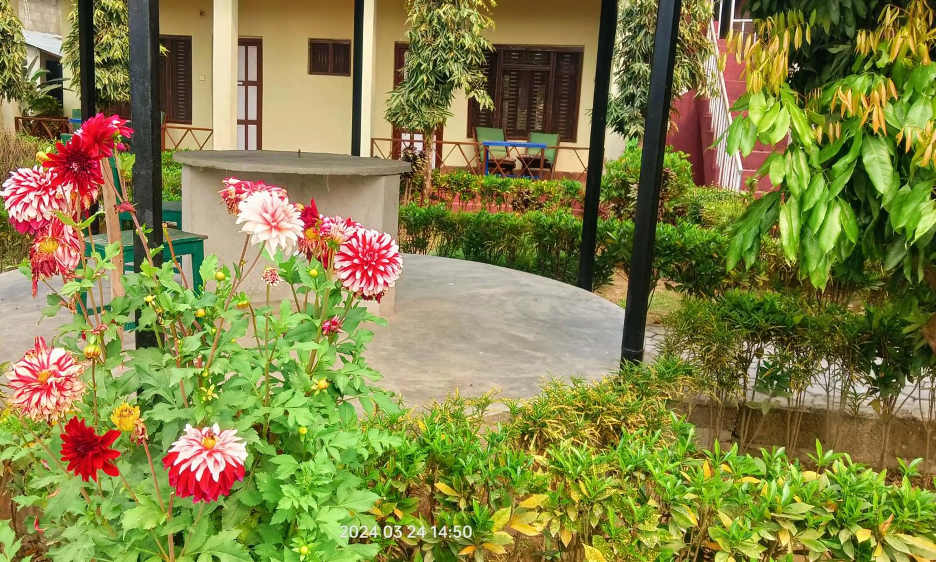 Spring in Hotel Butterfly - Peaceful Garden for Nature Lovers