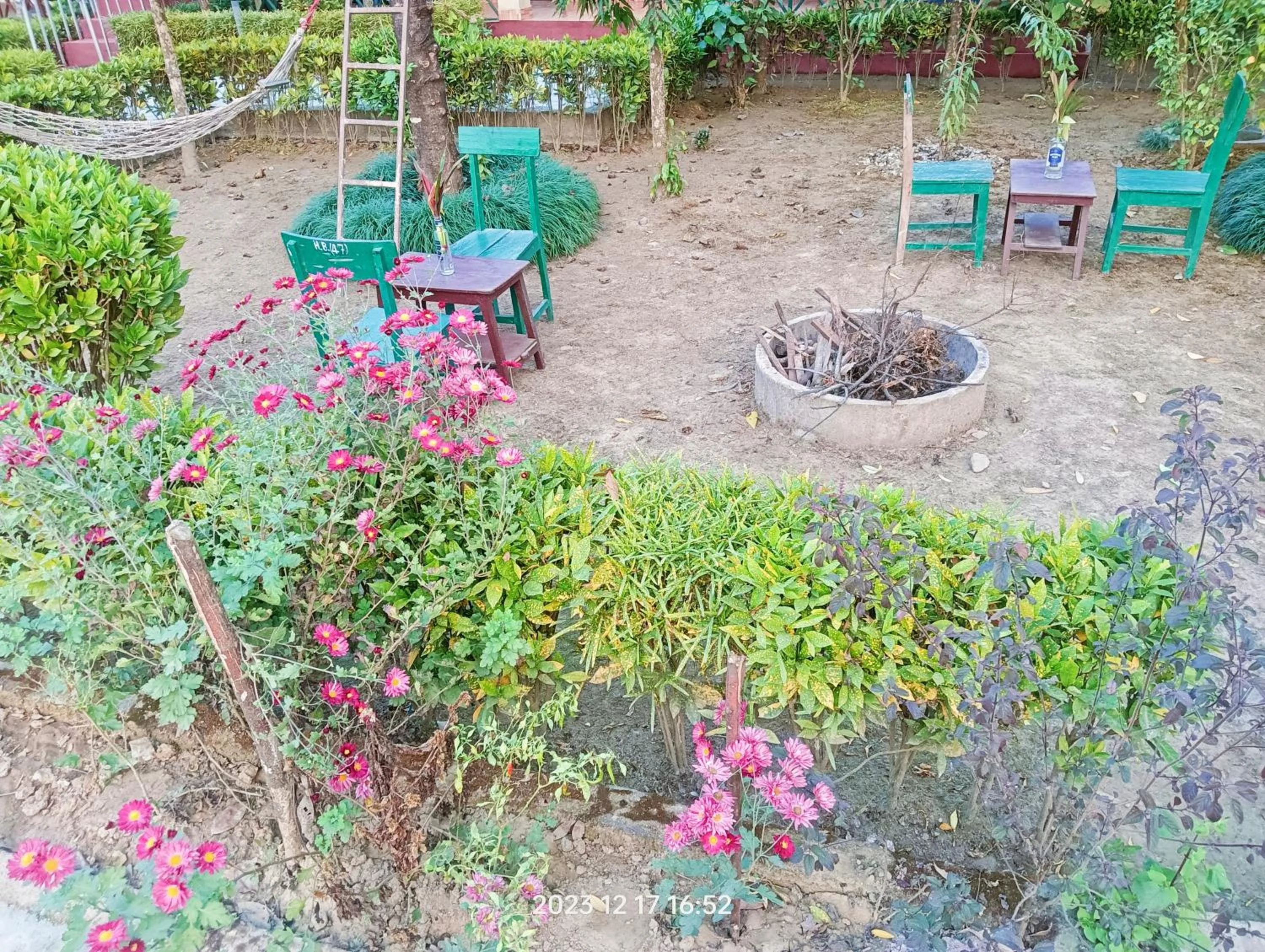 Spring in Hotel Butterfly - Peaceful Garden for Nature Lovers