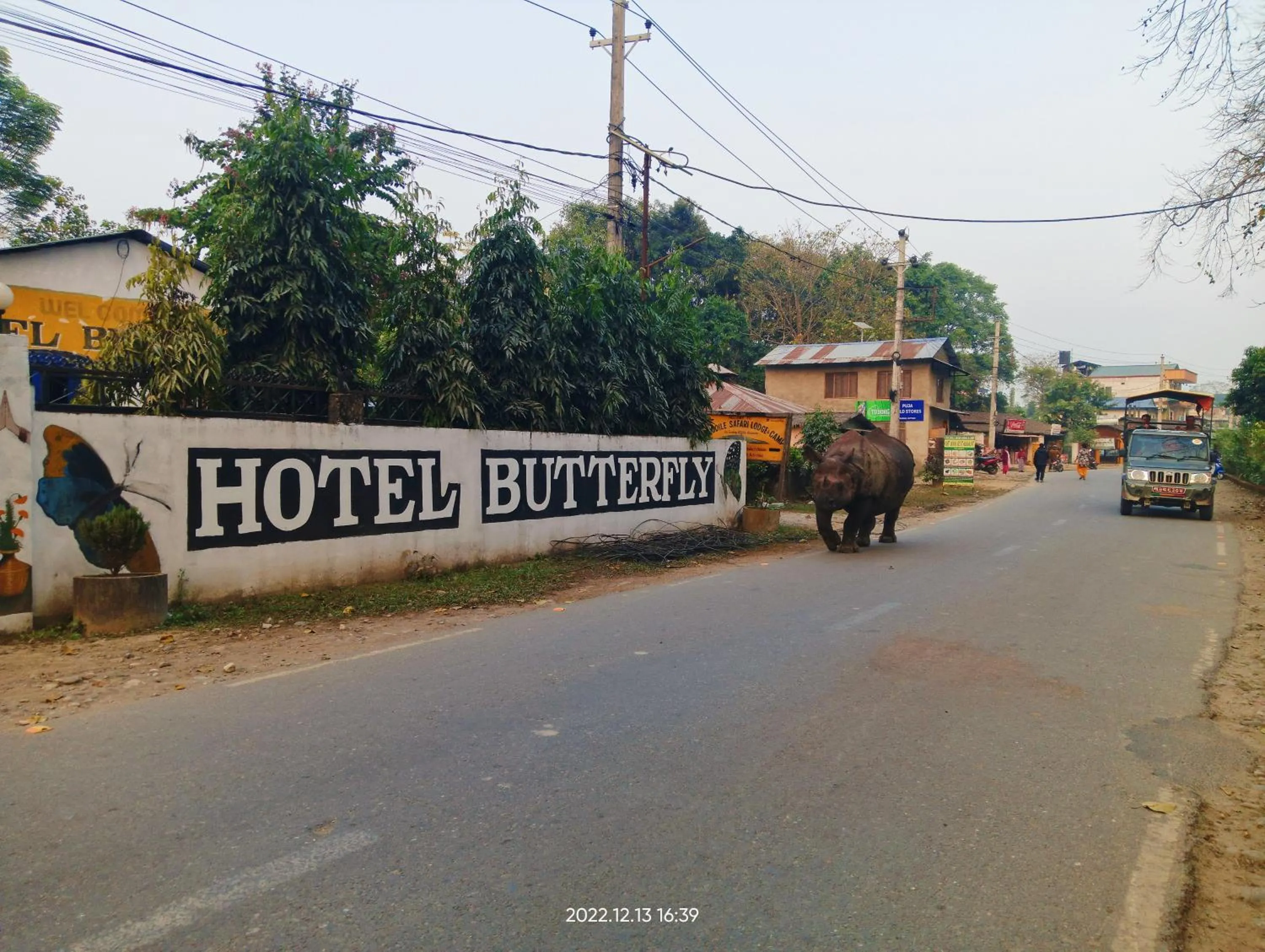 Day in Hotel Butterfly - Peaceful Garden for Nature Lovers