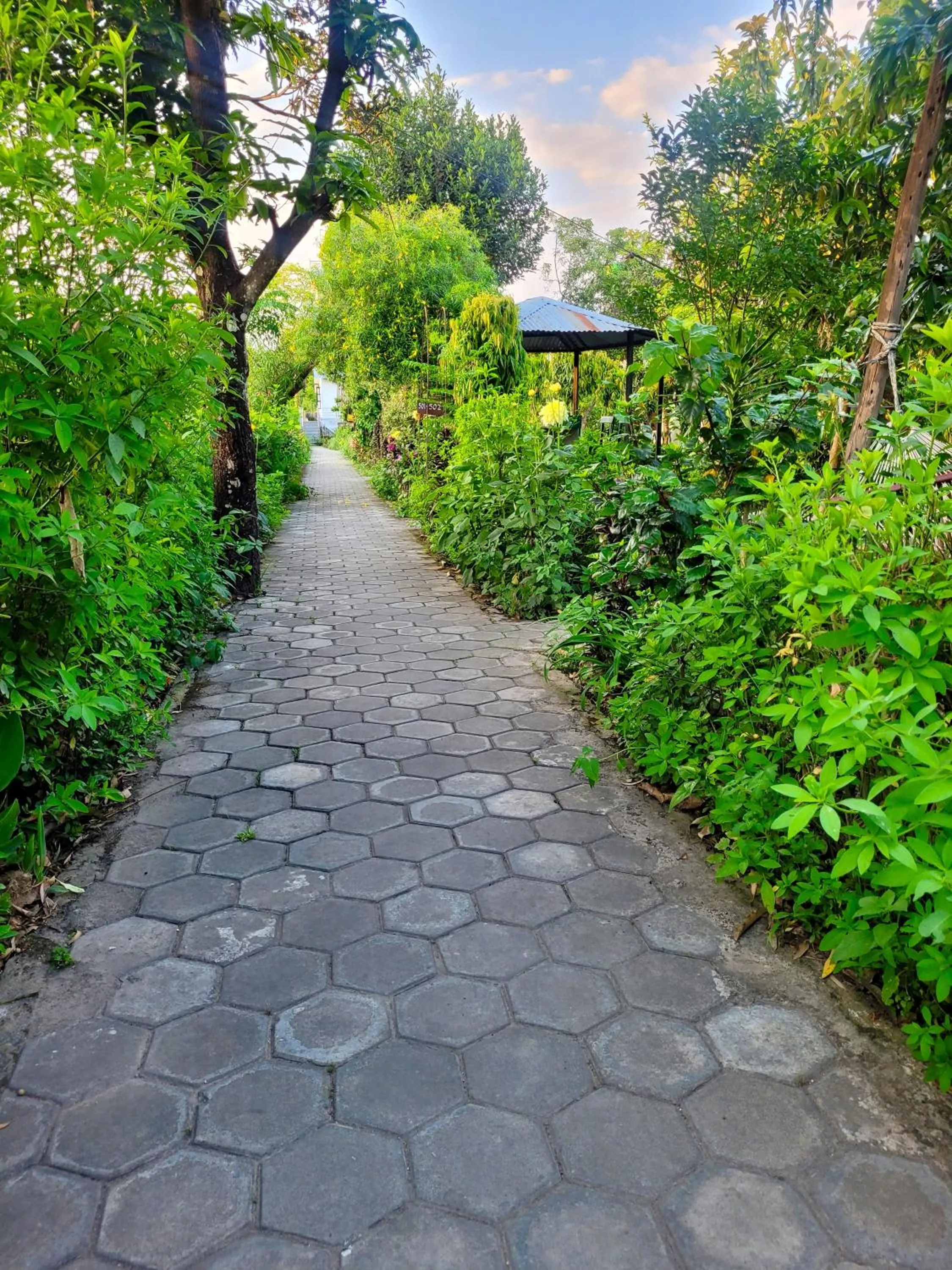 Hotel Butterfly - Peaceful Garden for Nature Lovers