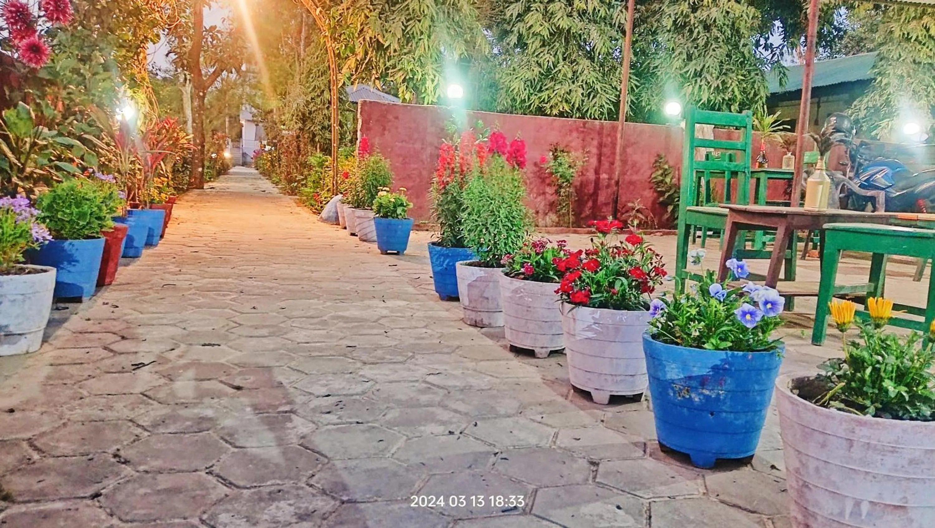 Night in Hotel Butterfly - Peaceful Garden for Nature Lovers