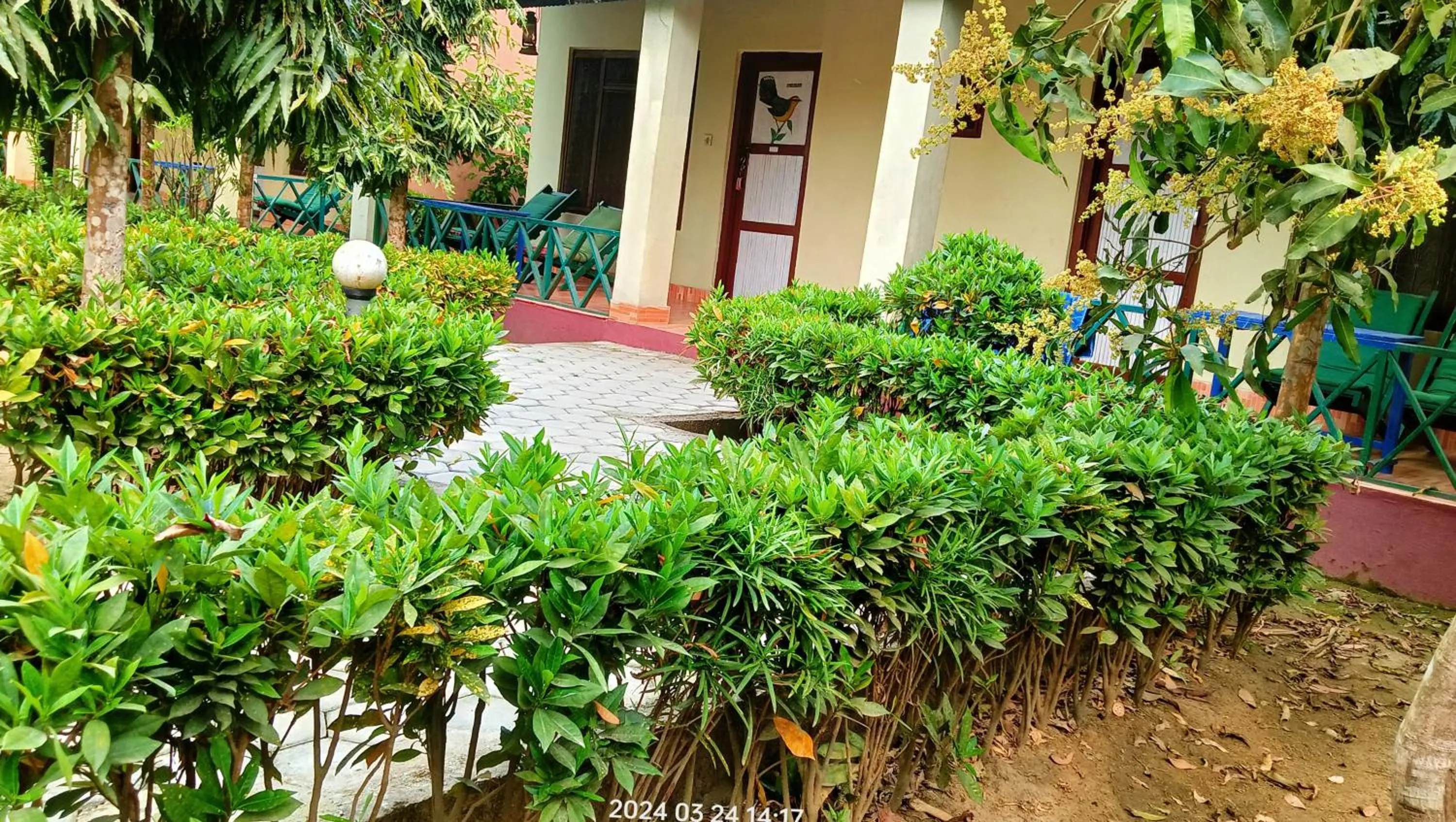 Spring in Hotel Butterfly - Peaceful Garden for Nature Lovers