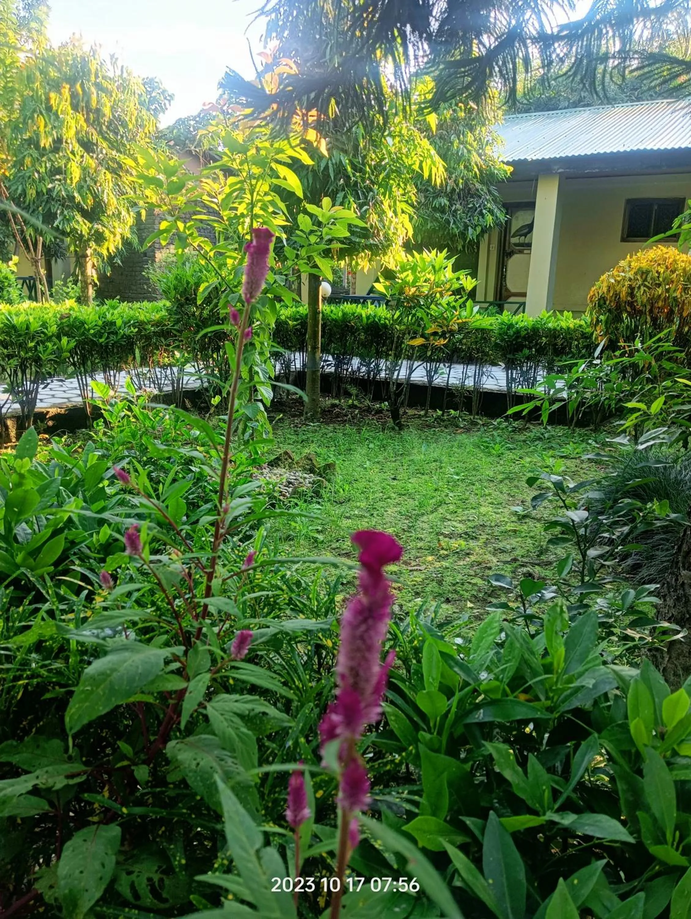 Spring in Hotel Butterfly - Peaceful Garden for Nature Lovers