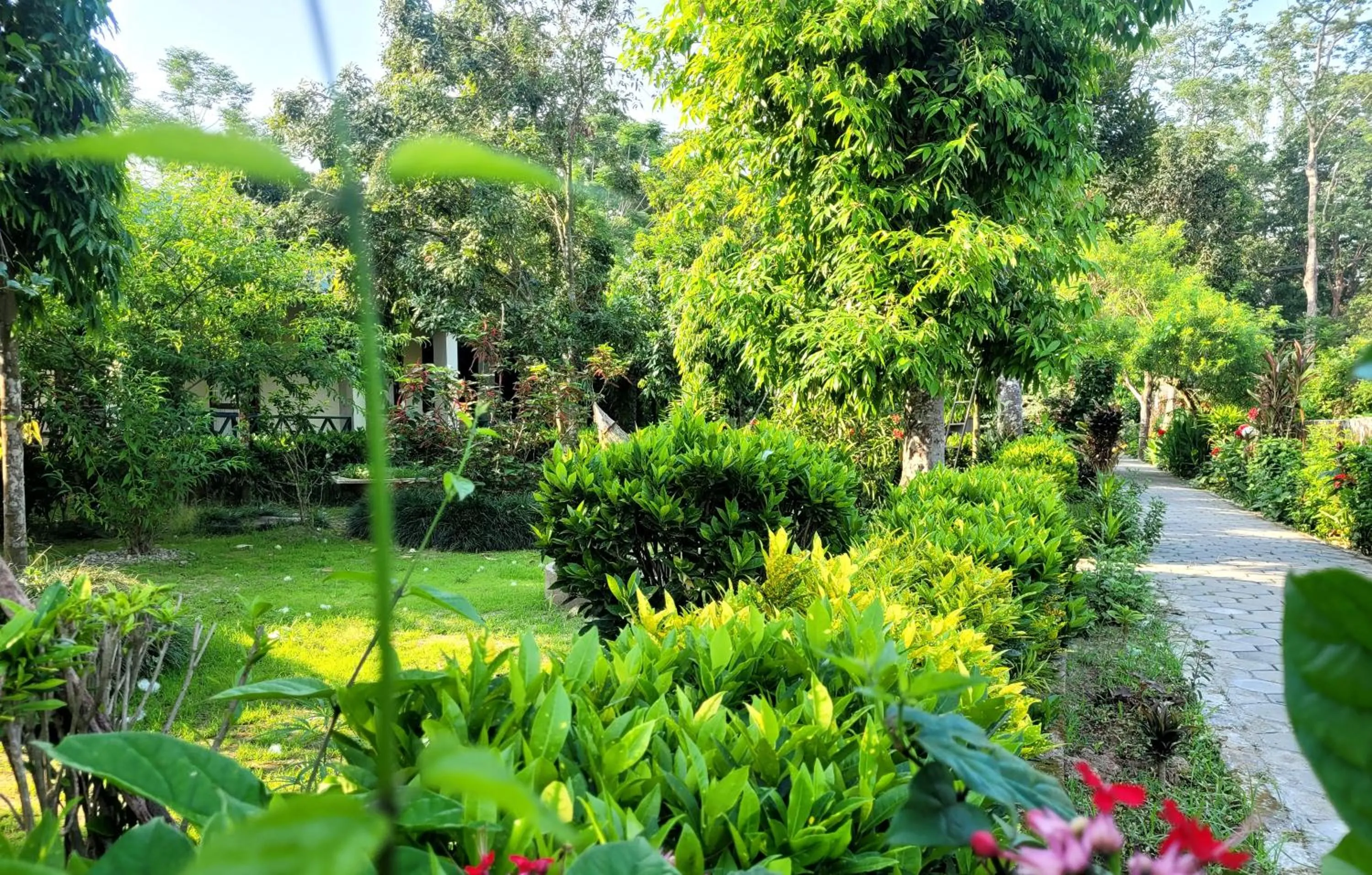 Spring in Hotel Butterfly - Peaceful Garden for Nature Lovers