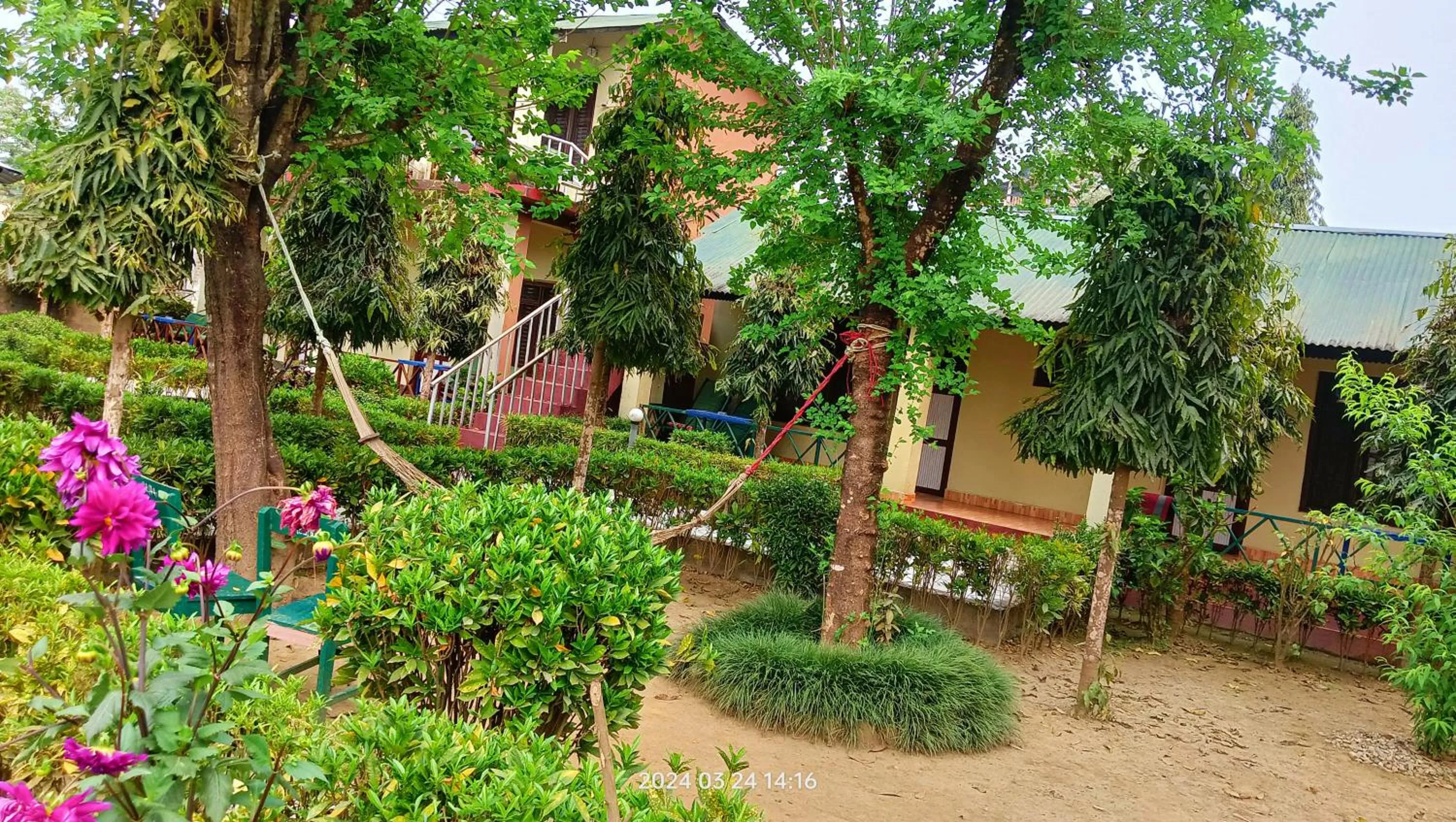Spring in Hotel Butterfly - Peaceful Garden for Nature Lovers
