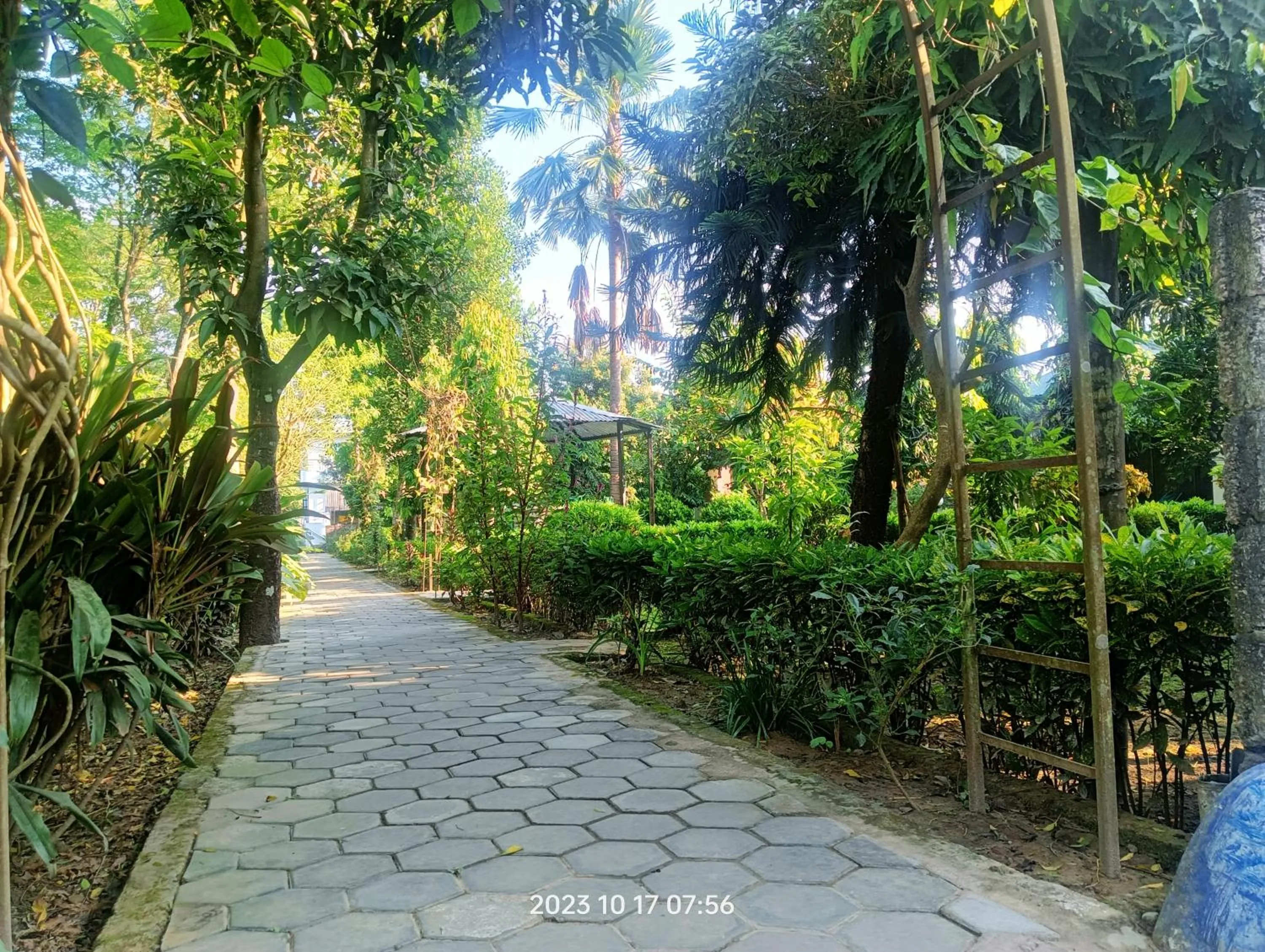 Garden view in Hotel Butterfly - Peaceful Garden for Nature Lovers