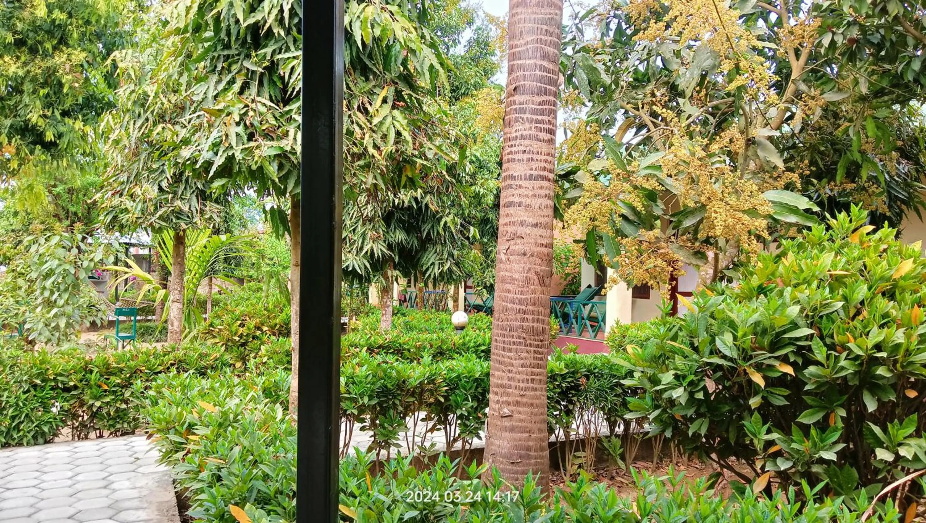 Spring in Hotel Butterfly - Peaceful Garden for Nature Lovers