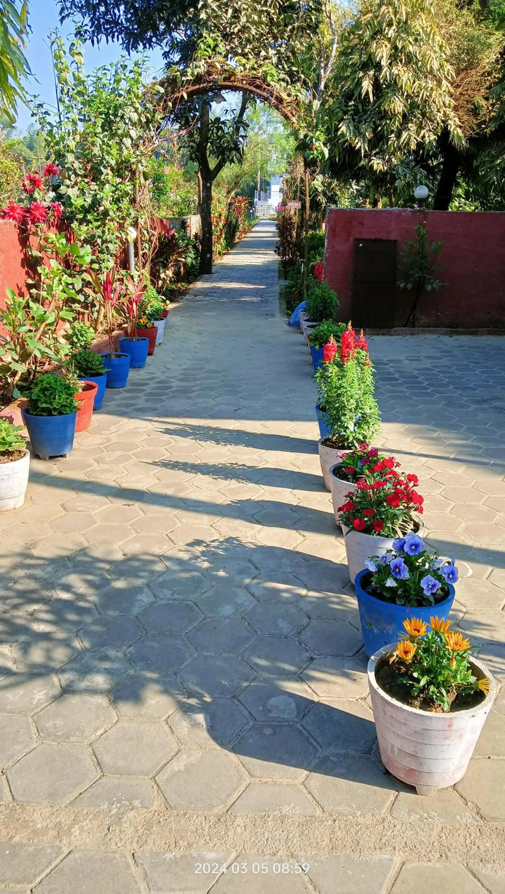 Garden in Hotel Butterfly - Peaceful Garden for Nature Lovers