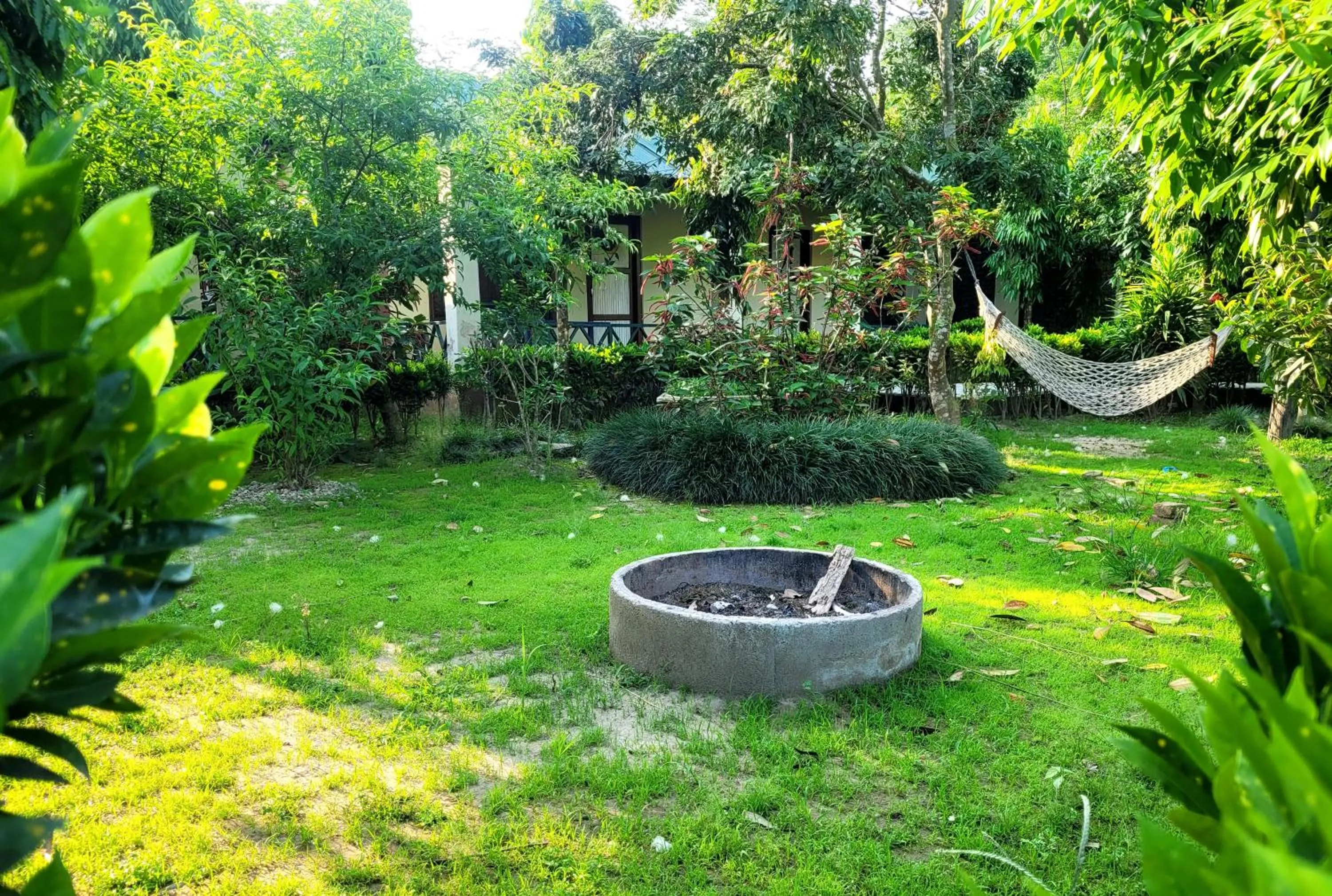 Spring in Hotel Butterfly - Peaceful Garden for Nature Lovers