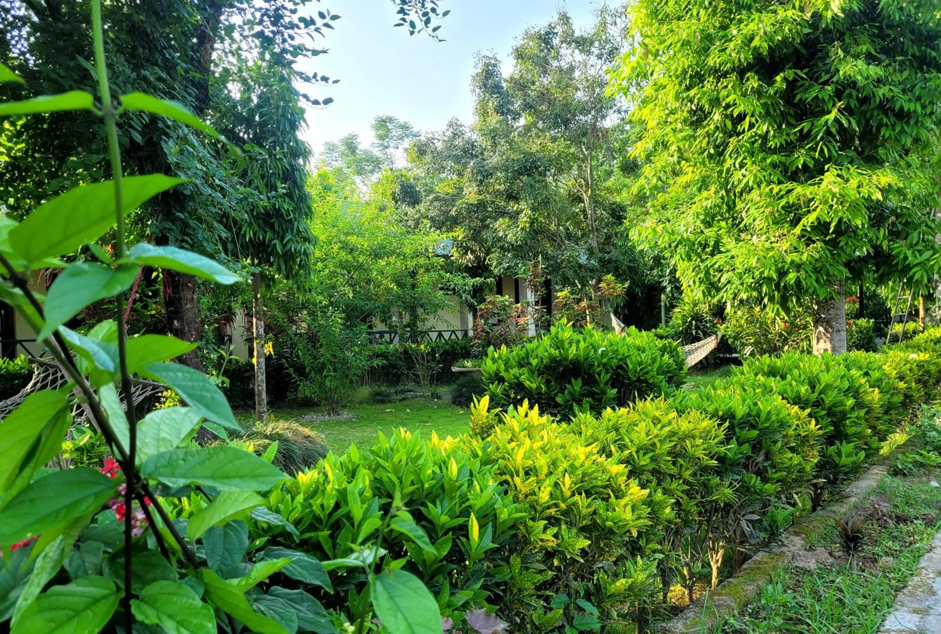 Spring in Hotel Butterfly - Peaceful Garden for Nature Lovers