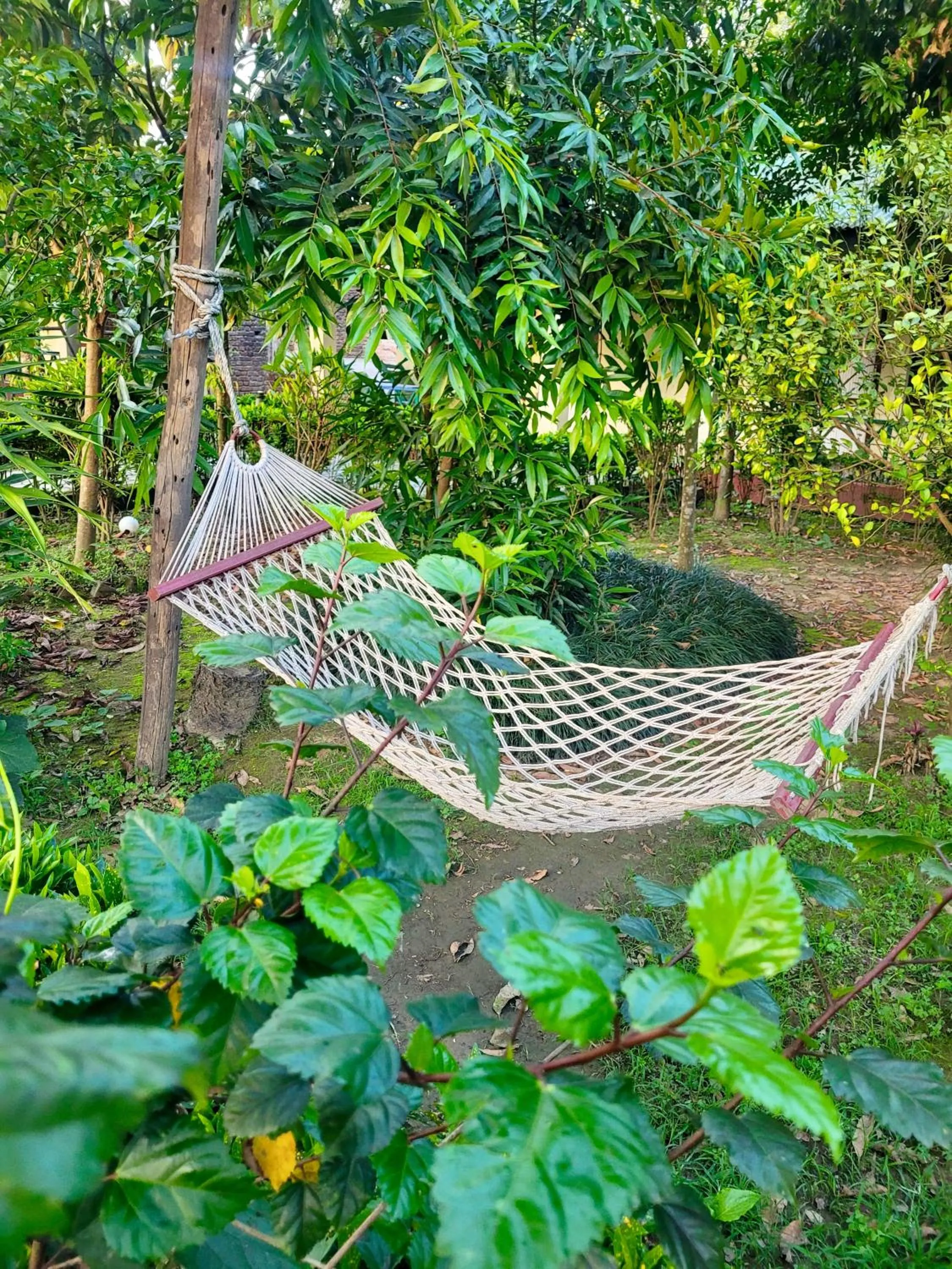 Hotel Butterfly - Peaceful Garden for Nature Lovers