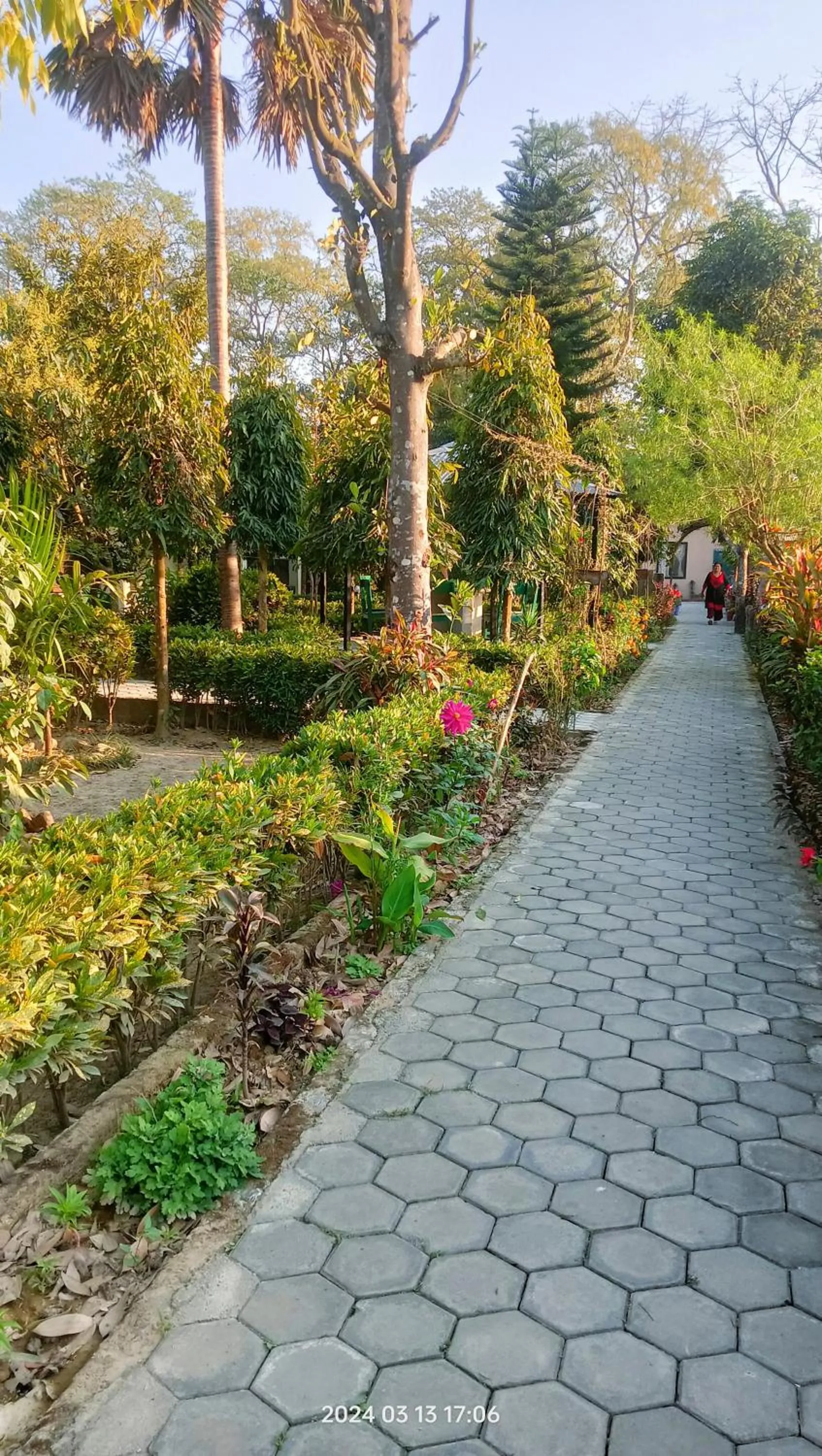 Garden view in Hotel Butterfly - Peaceful Garden for Nature Lovers