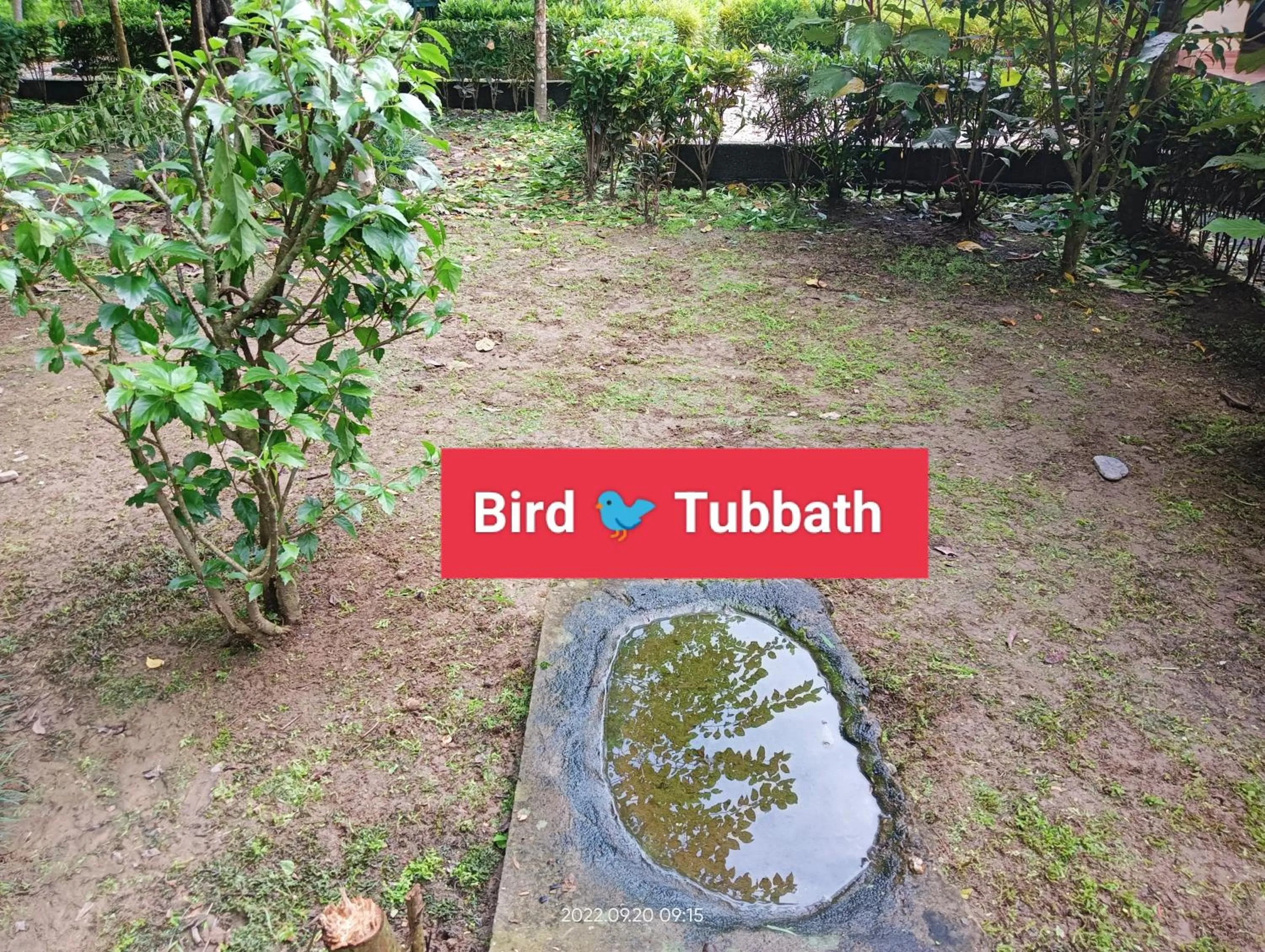 Garden in Hotel Butterfly - Peaceful Garden for Nature Lovers