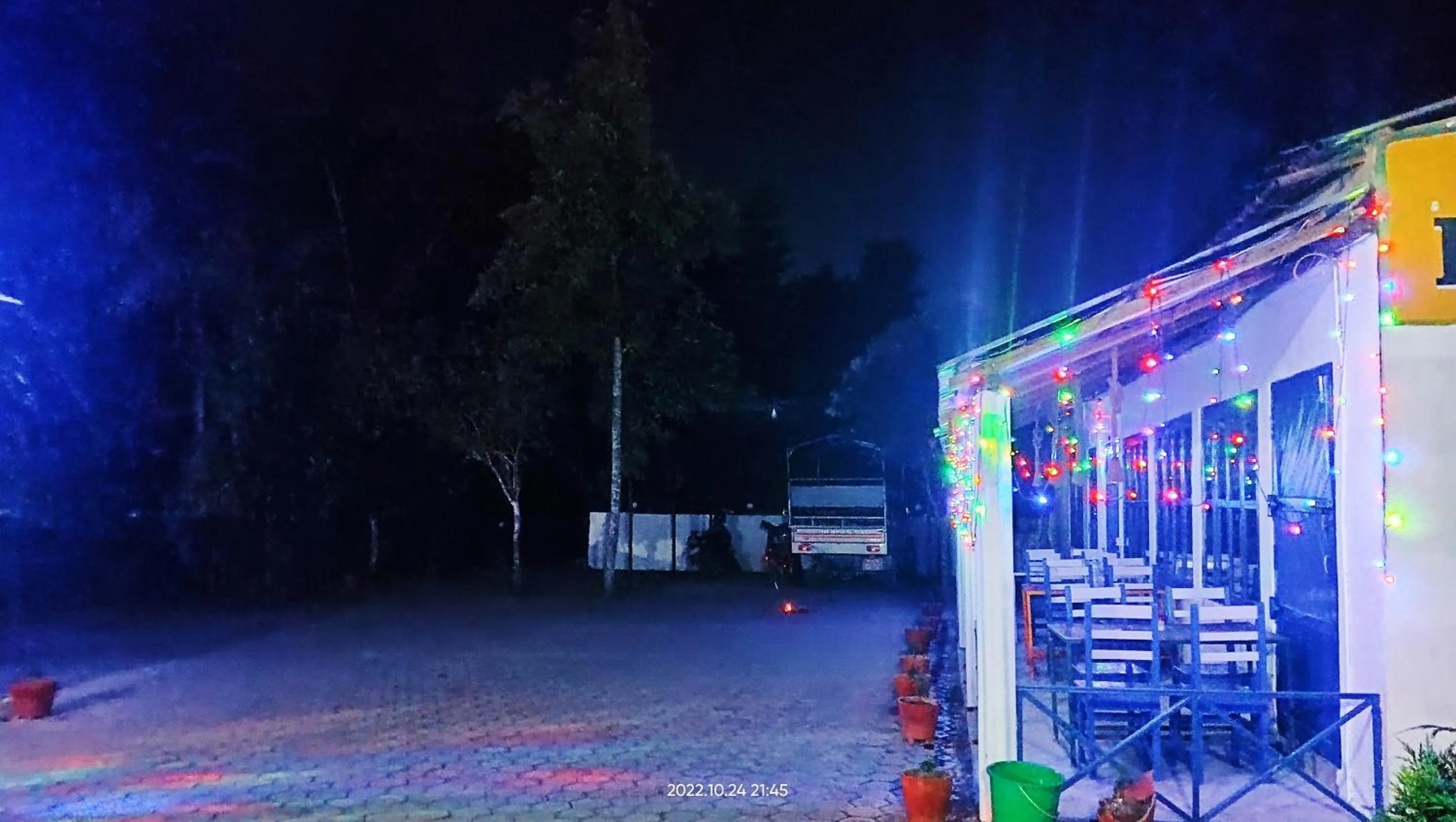 Night in Hotel Butterfly - Peaceful Garden for Nature Lovers