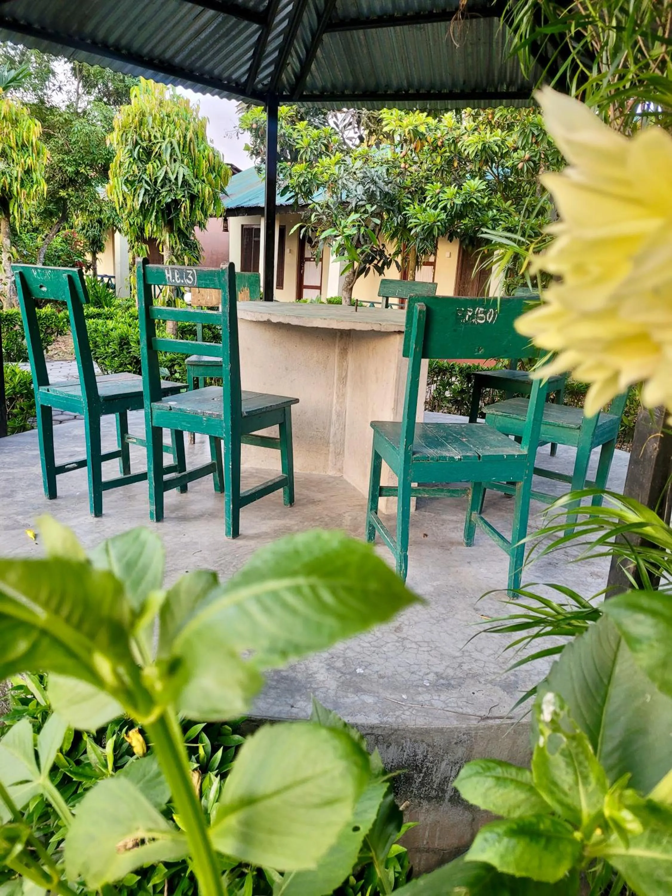 Hotel Butterfly - Peaceful Garden for Nature Lovers