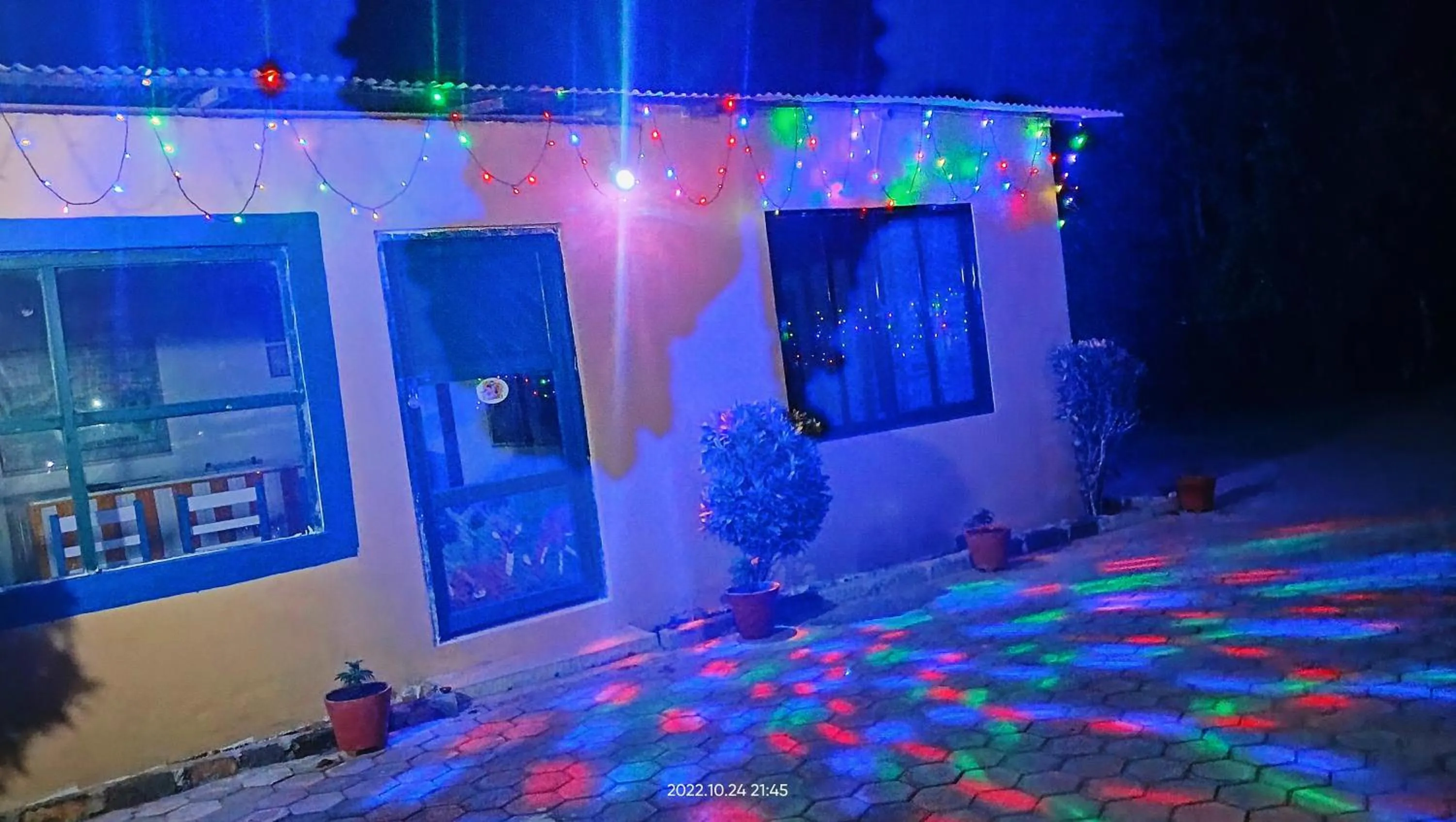 Night in Hotel Butterfly - Peaceful Garden for Nature Lovers