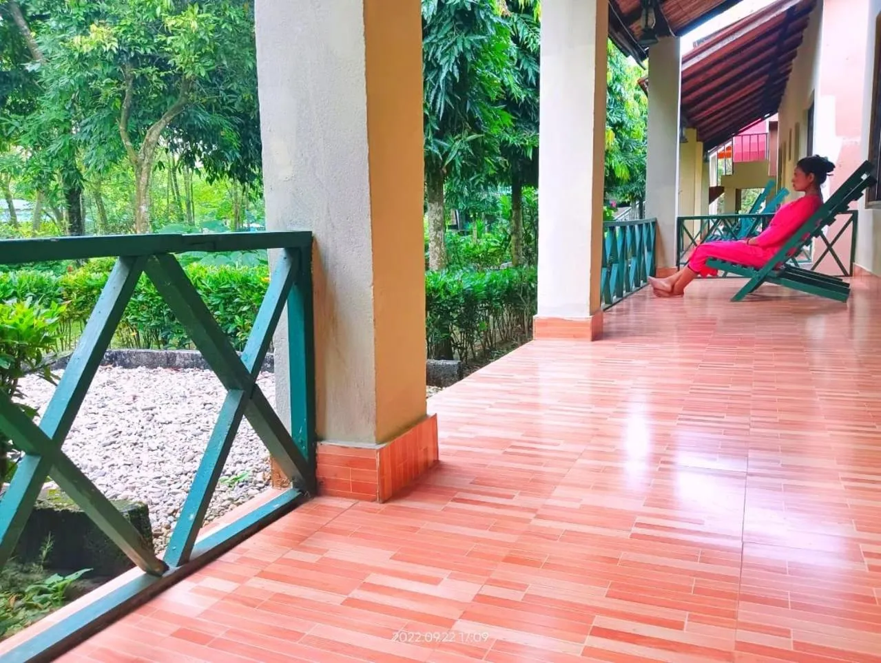 Patio in Hotel Butterfly - Peaceful Garden for Nature Lovers