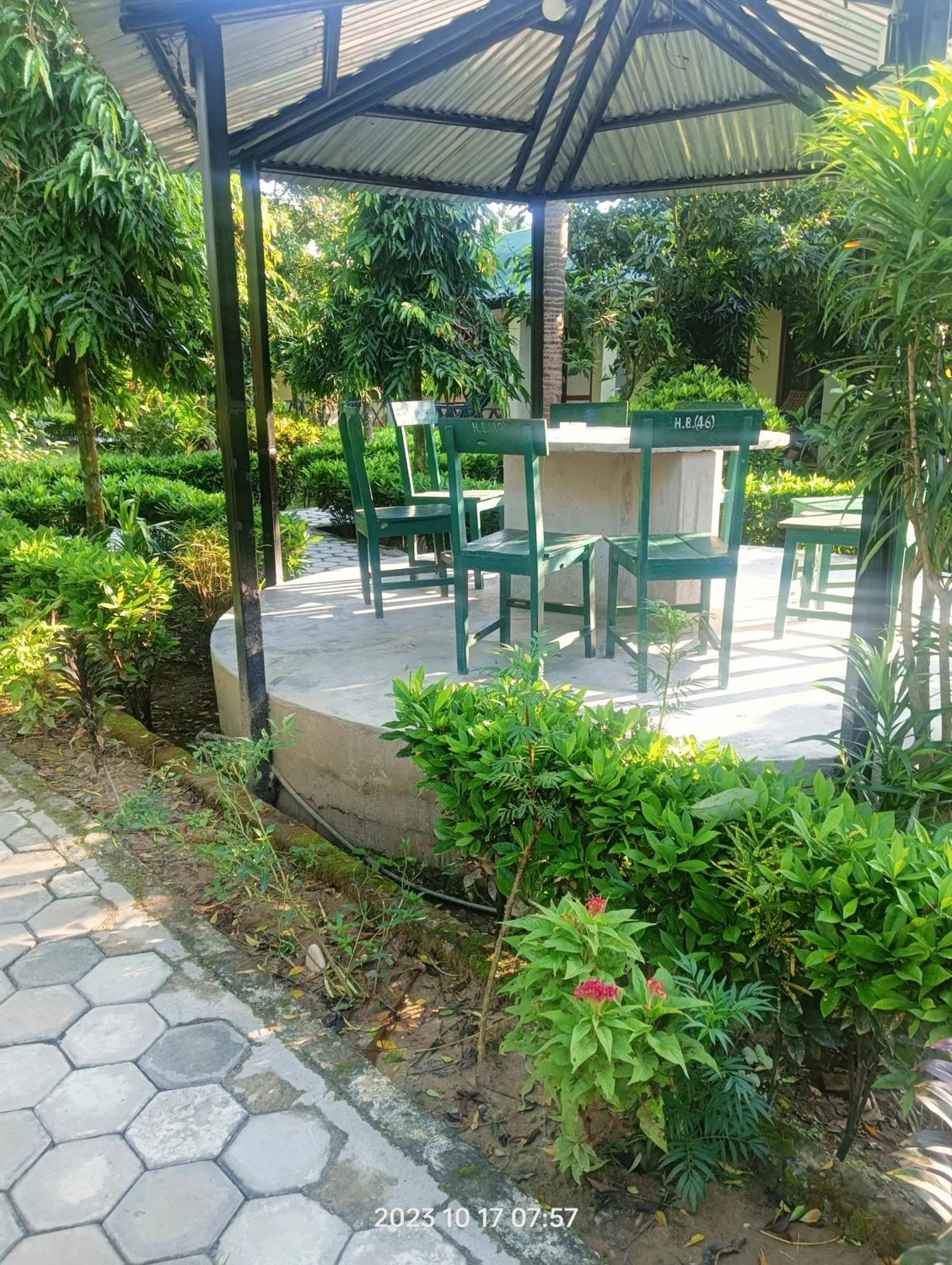 View (from property/room) in Hotel Butterfly - Peaceful Garden for Nature Lovers