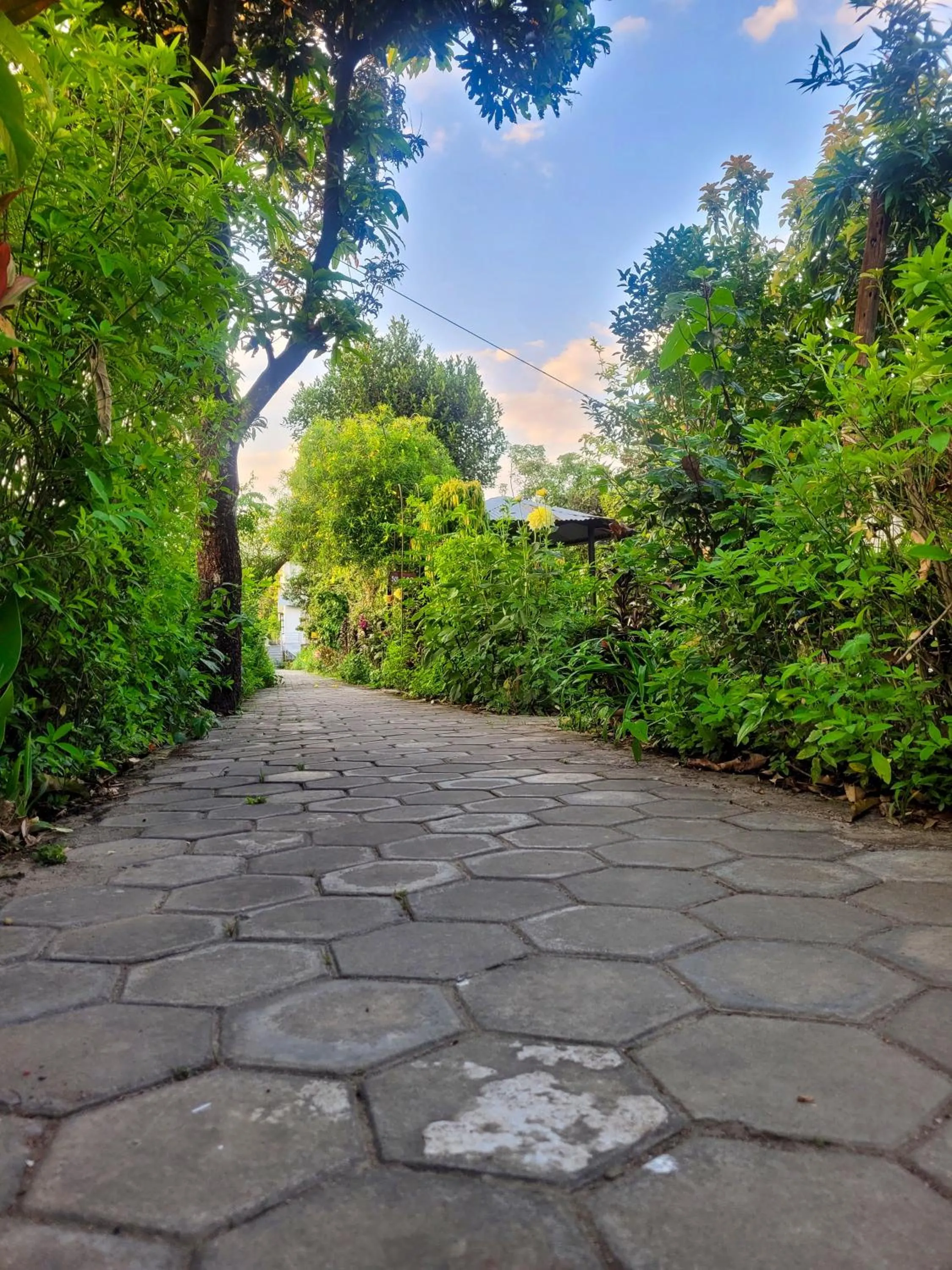 Hotel Butterfly - Peaceful Garden for Nature Lovers