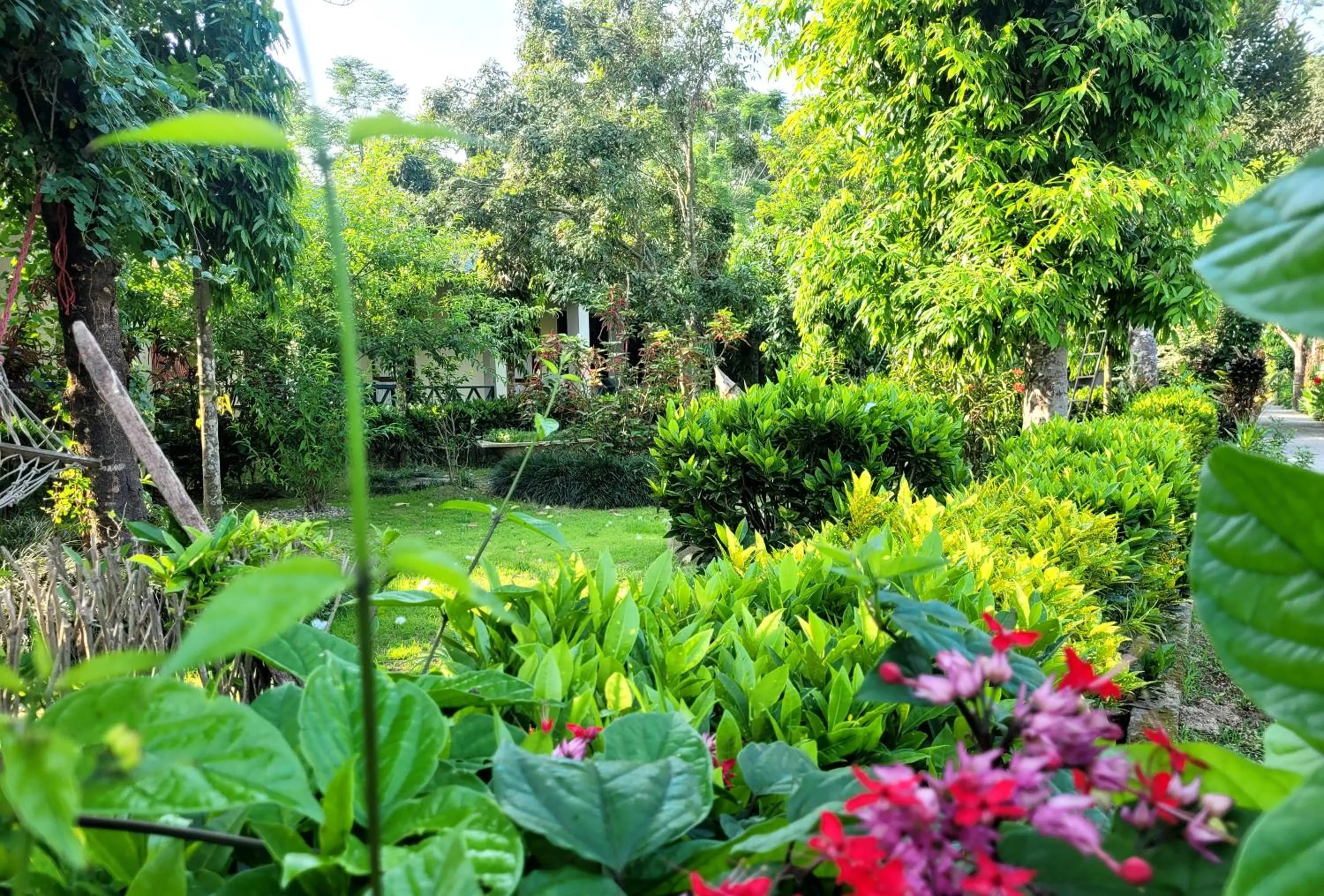 Spring in Hotel Butterfly - Peaceful Garden for Nature Lovers
