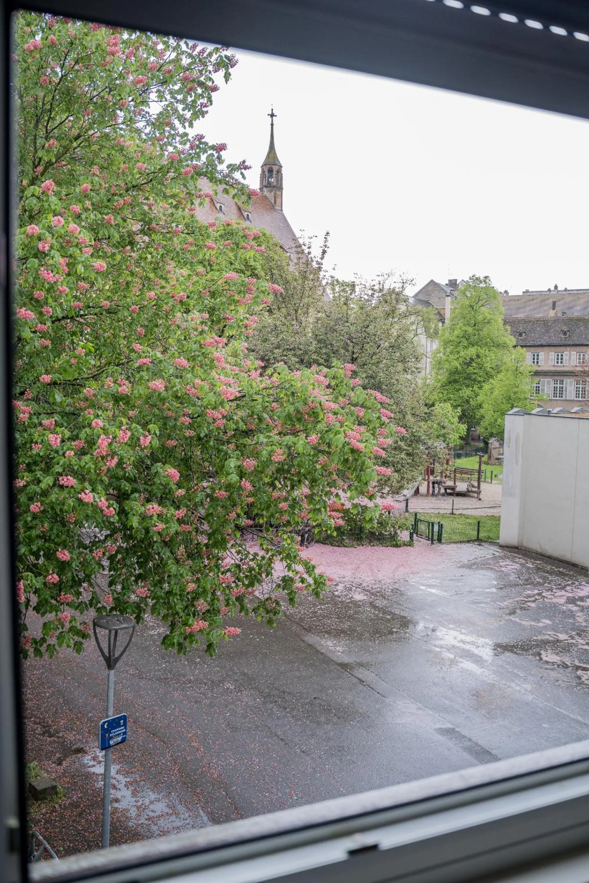 View (from property/room) in Le Gabriel - STRASBOURG