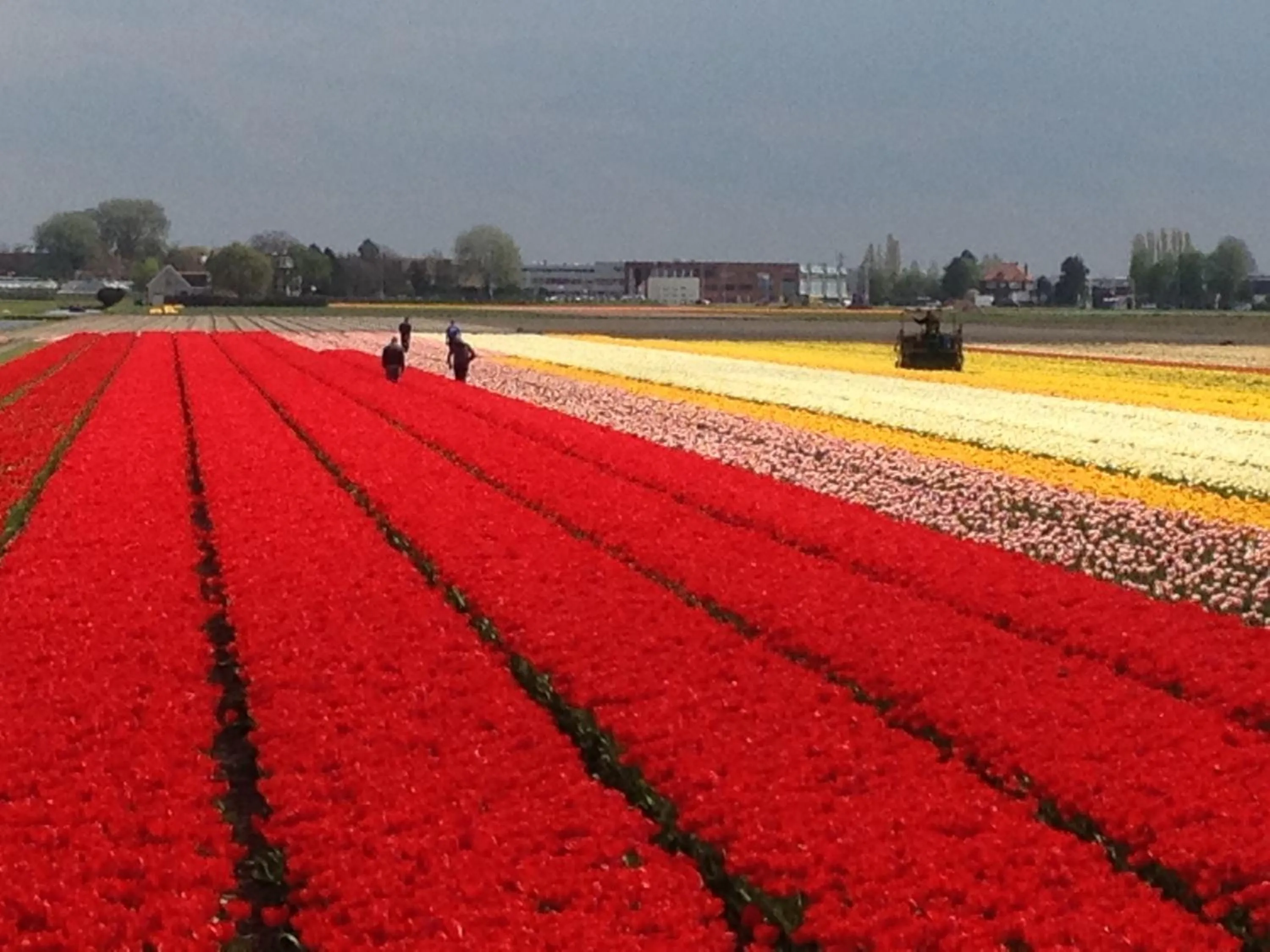 Area and facilities in Bed & Breakfast De Vier Seizoenen