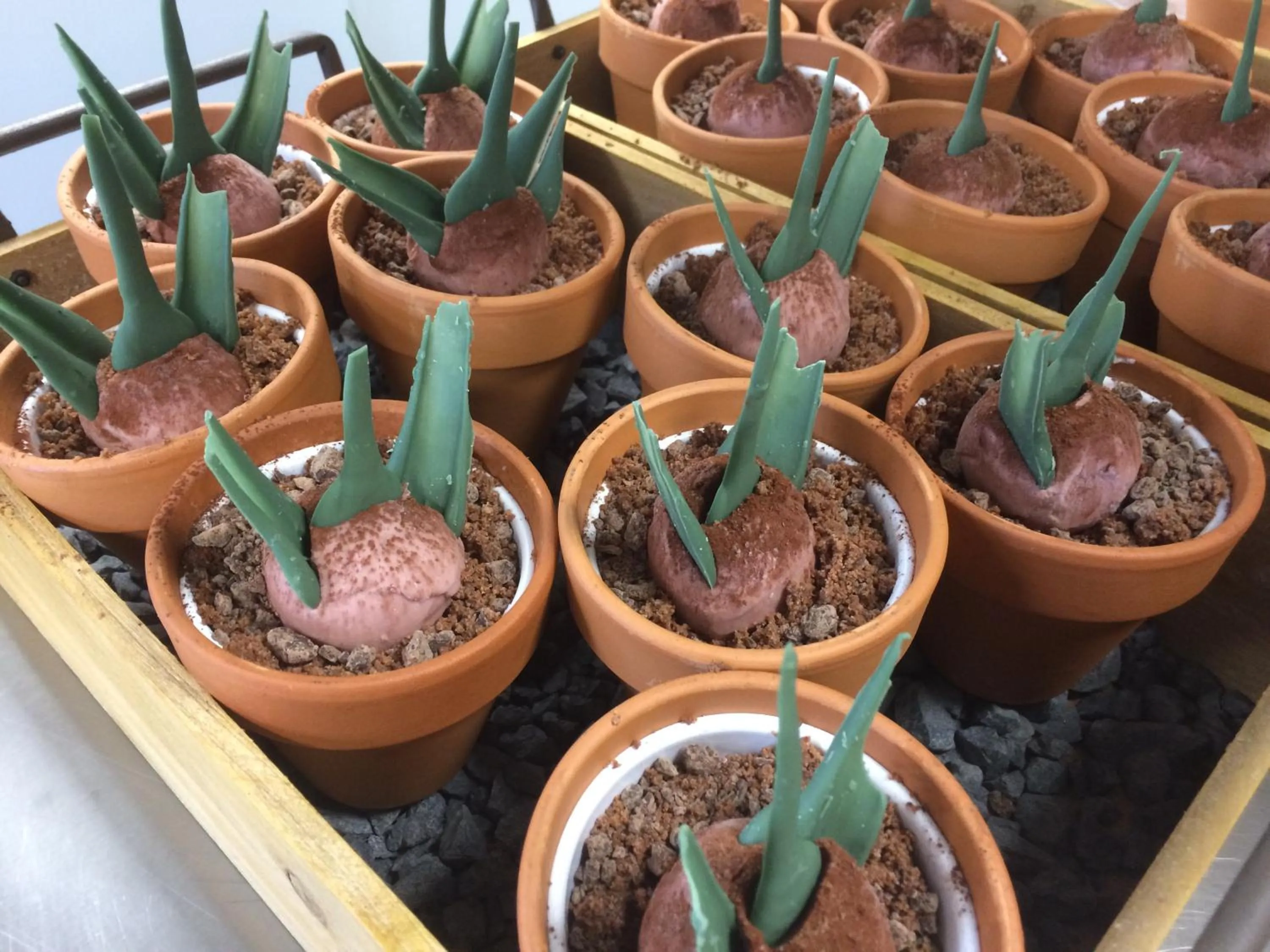 Restaurant/places to eat in Bed & Breakfast De Vier Seizoenen