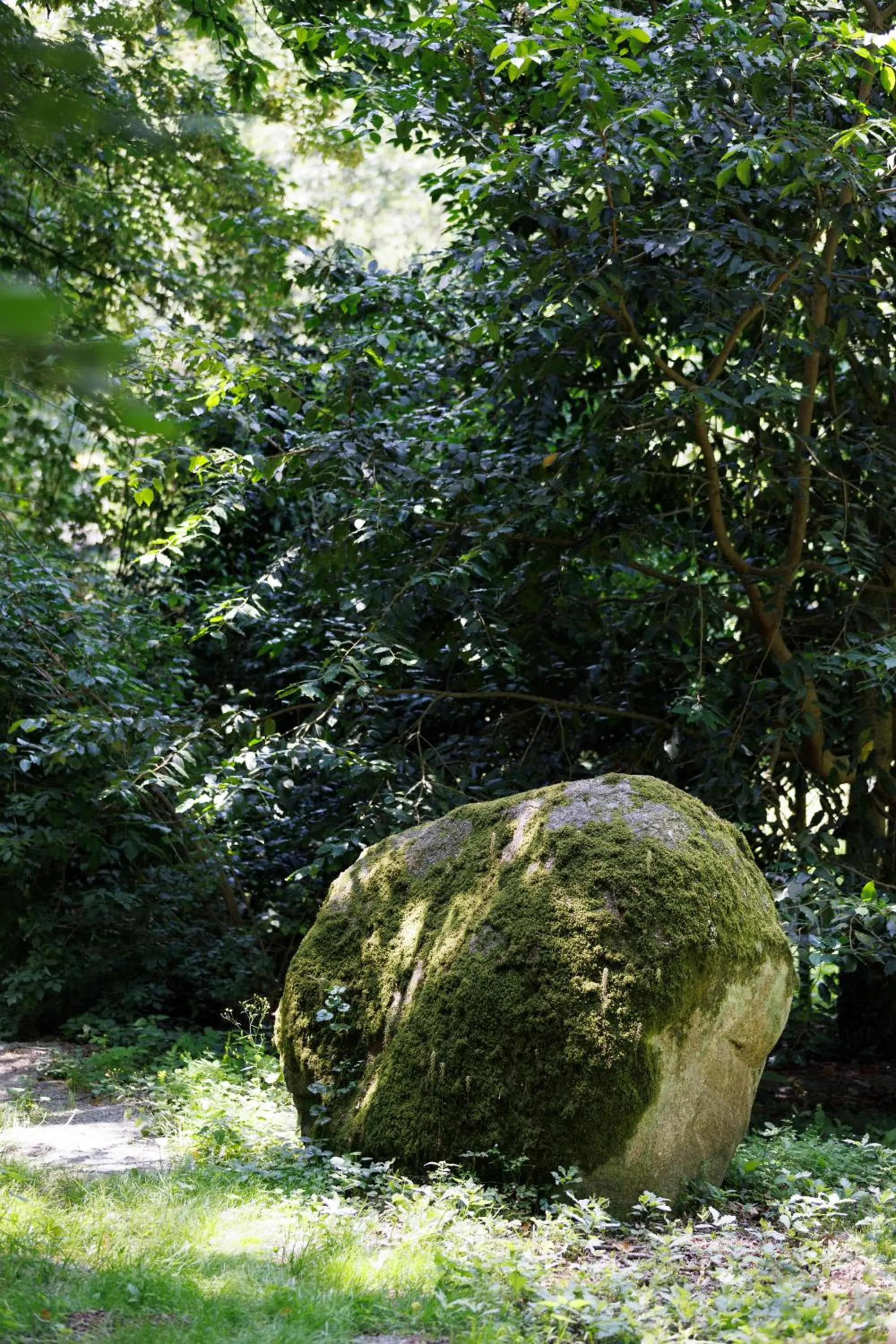 Natural landscape in Cit'Hôtel le Relais Boisniard