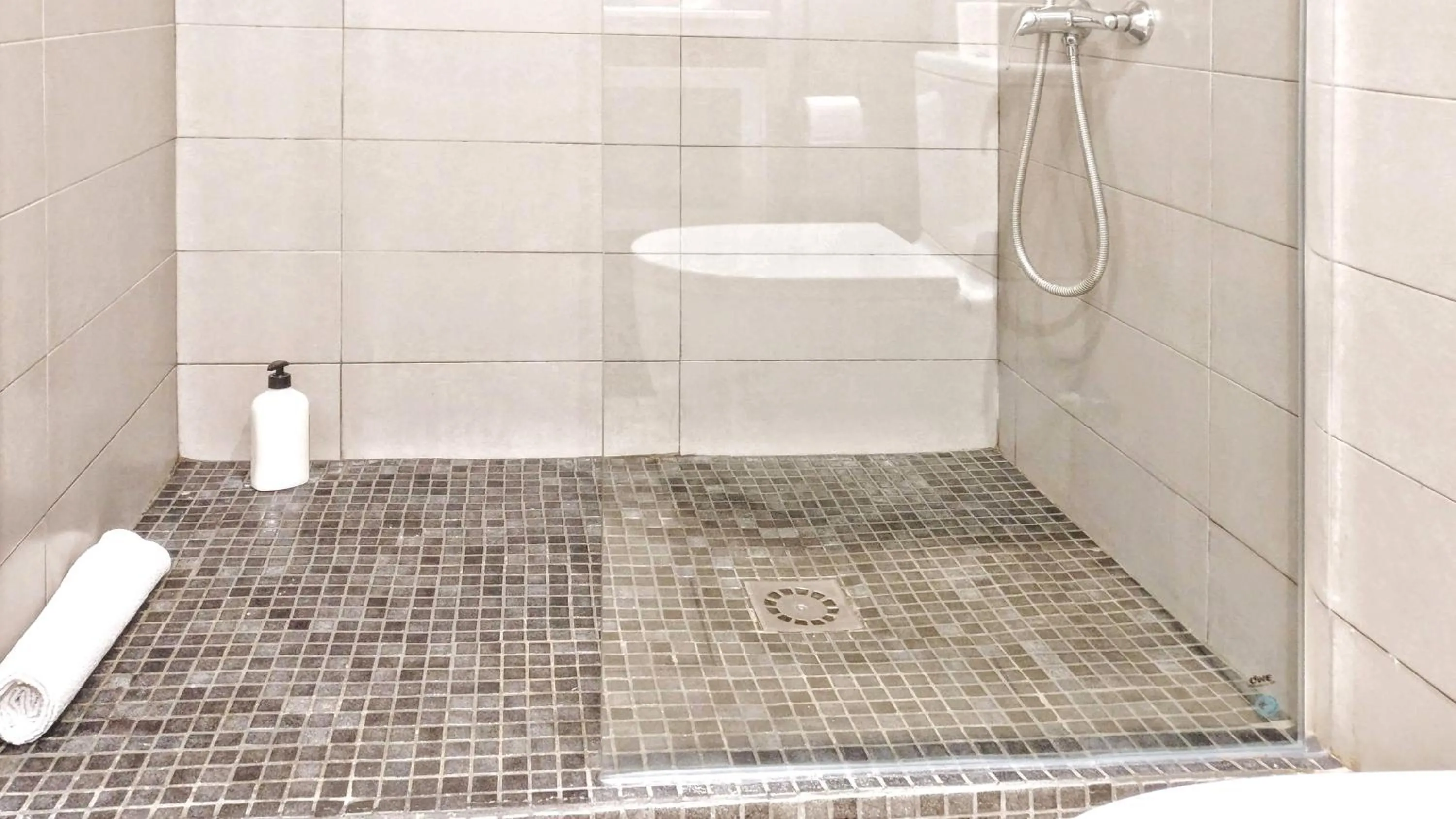 Shower in BizFlats Garden House