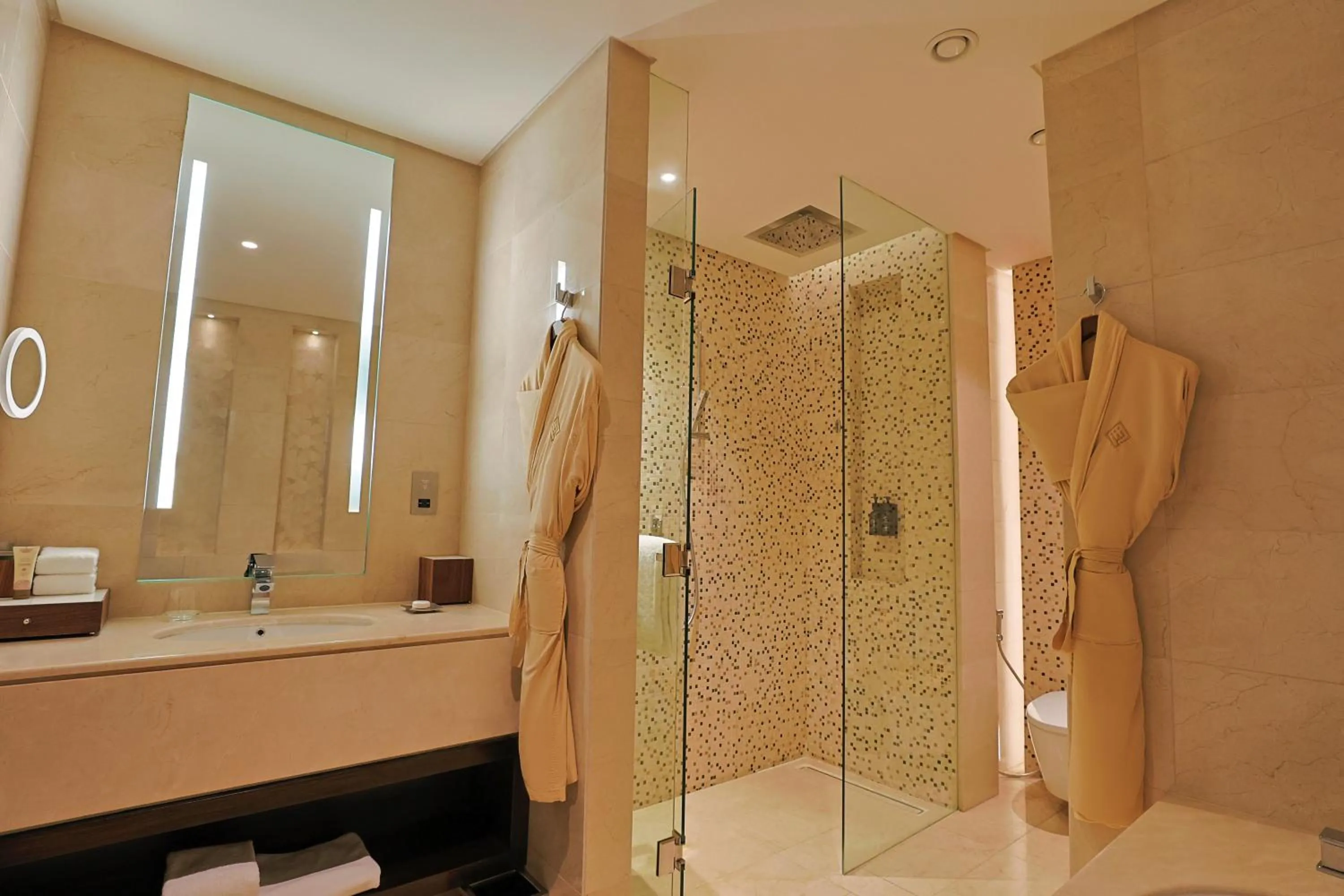 Bathroom in Shaza Doha